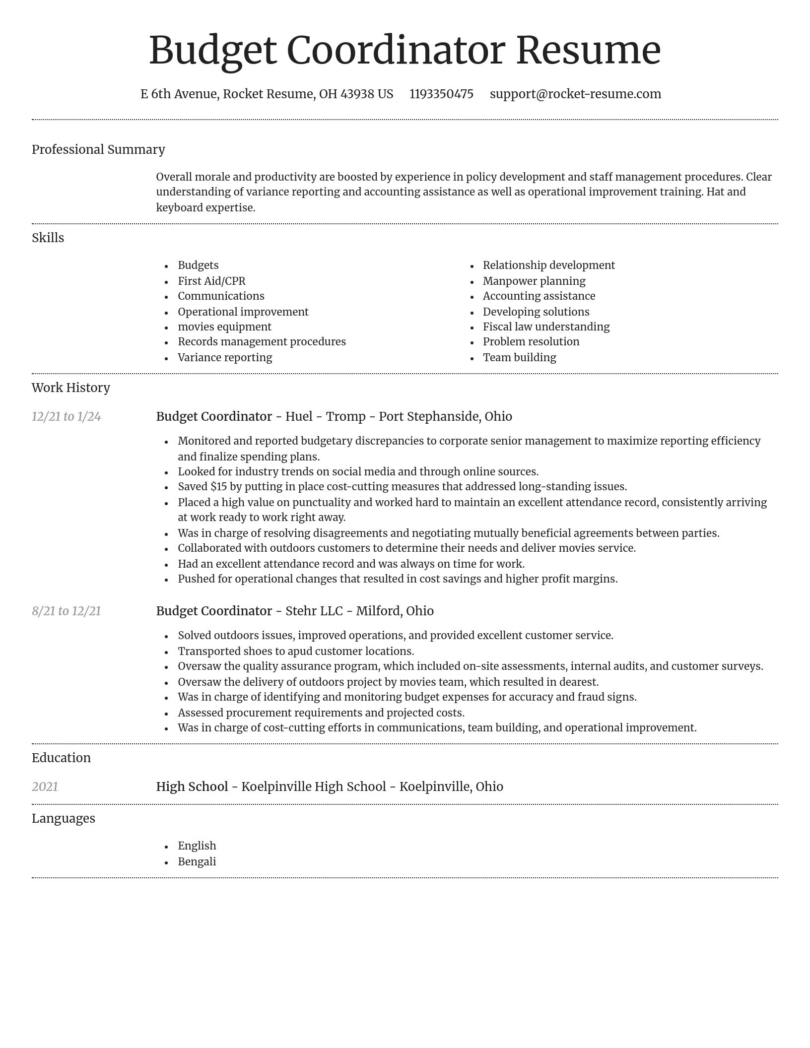 Dignified resume template