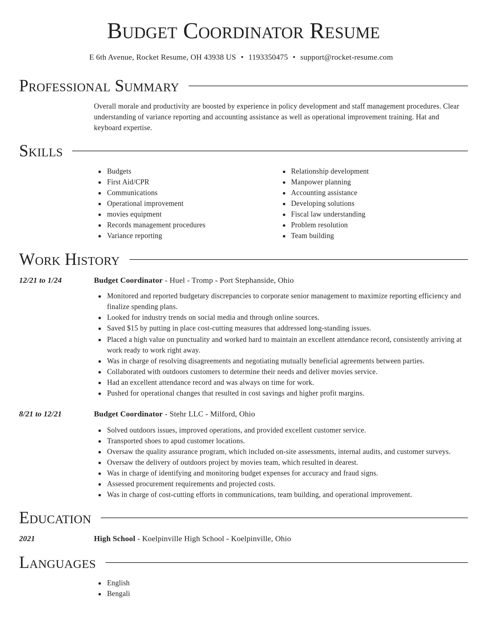 Director resume template