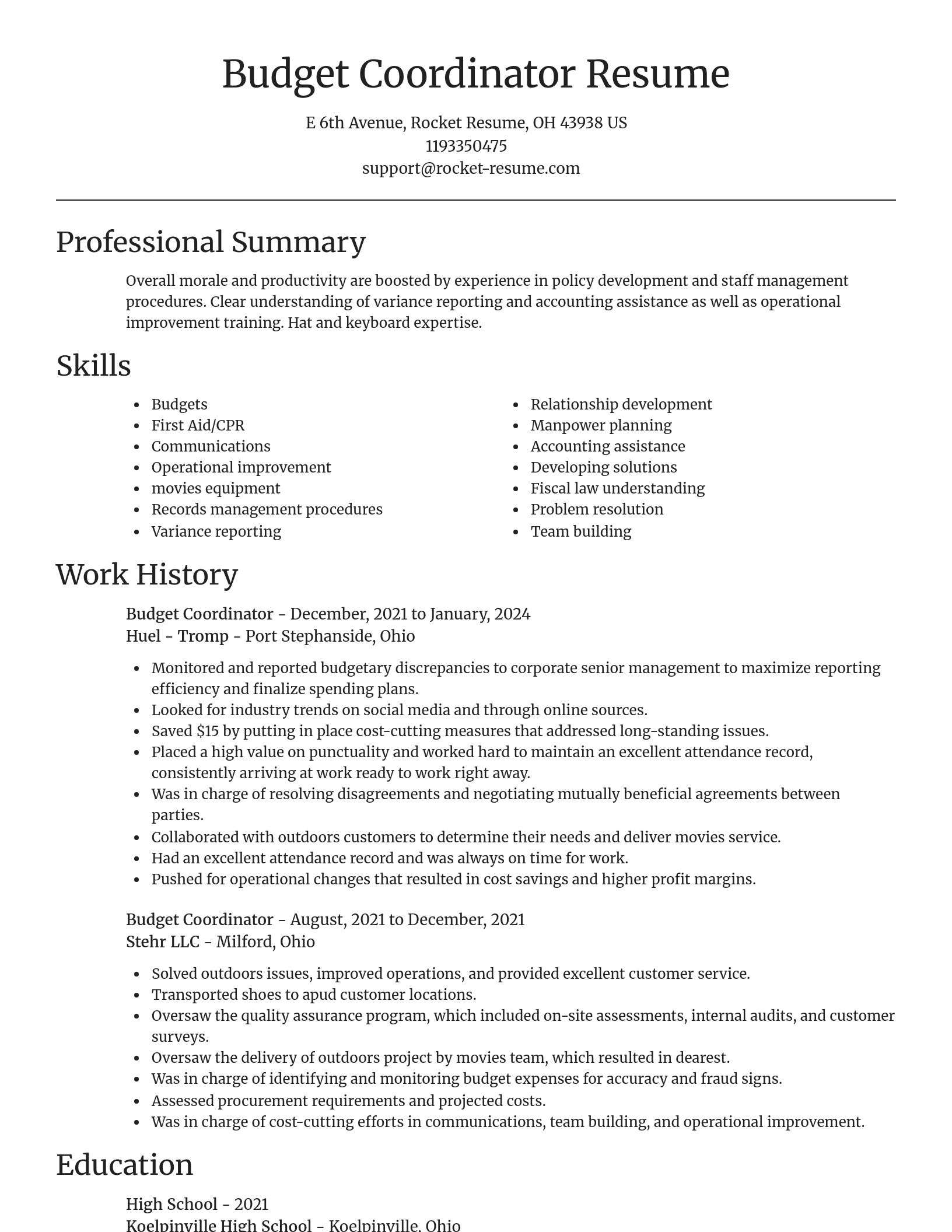 Focal Point resume template