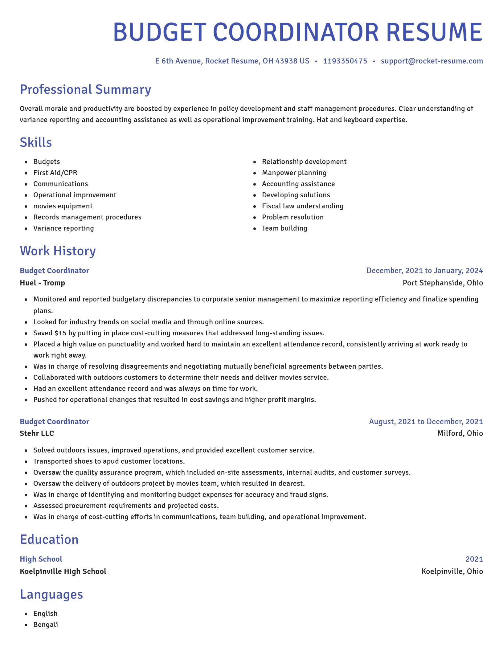 Novel resume template