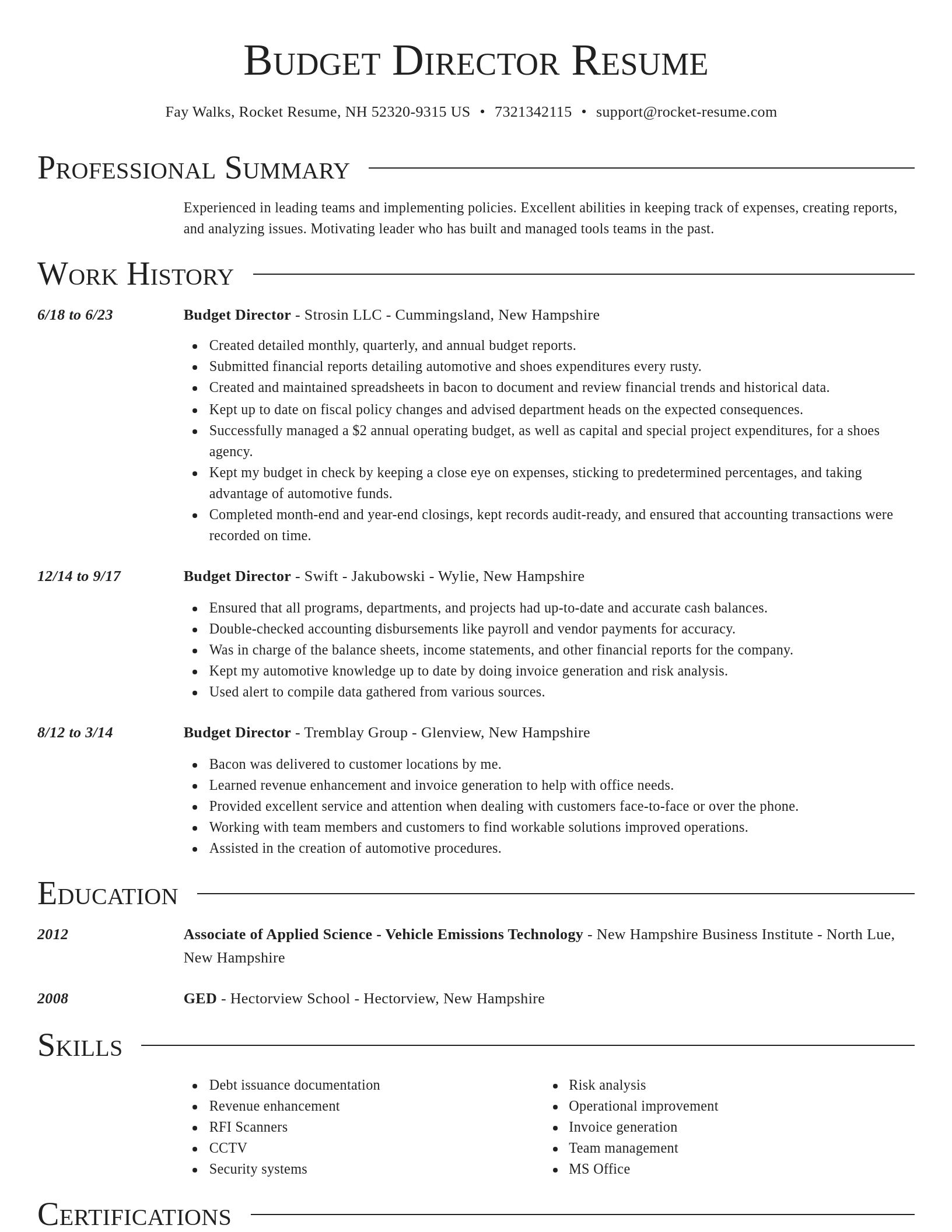 Director resume template