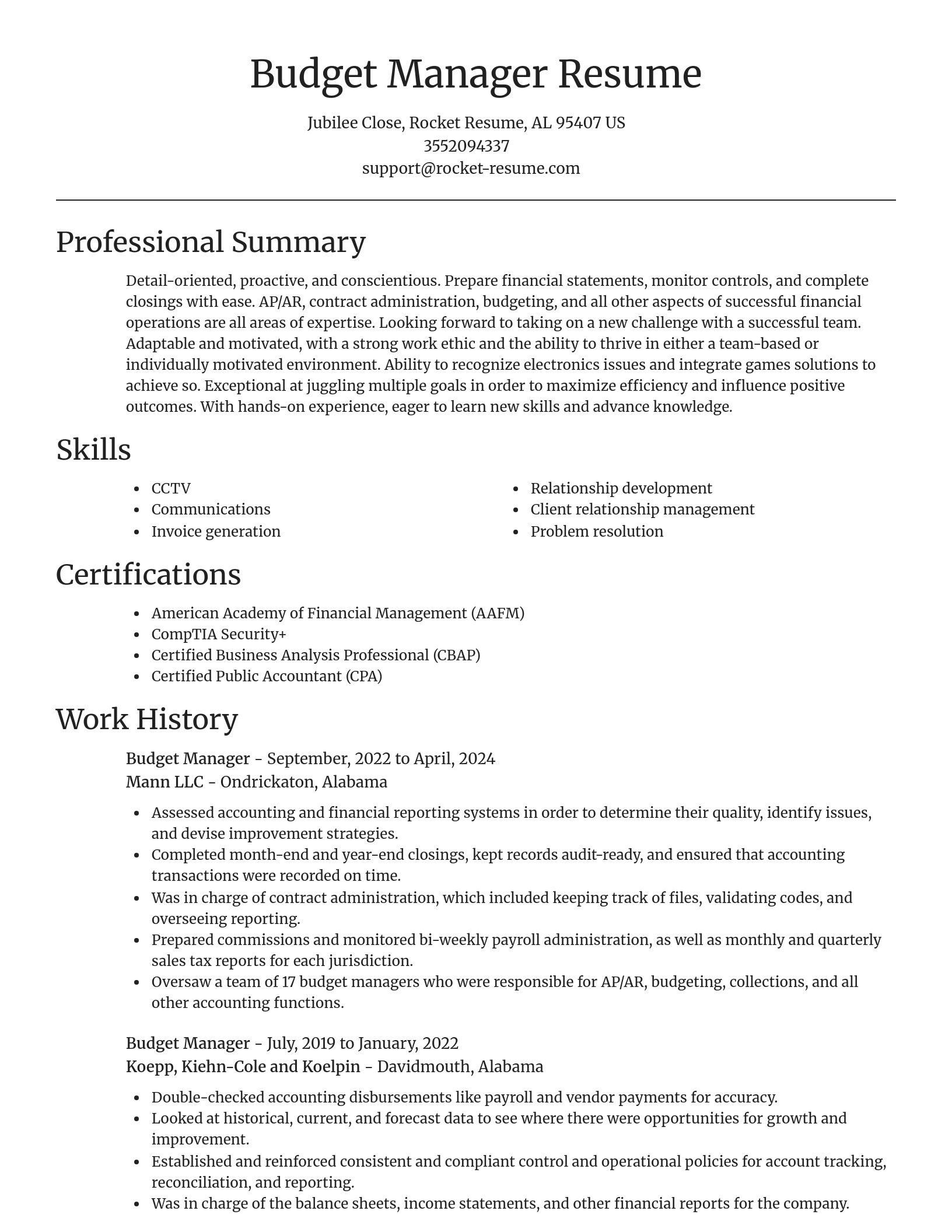 Focal Point resume template