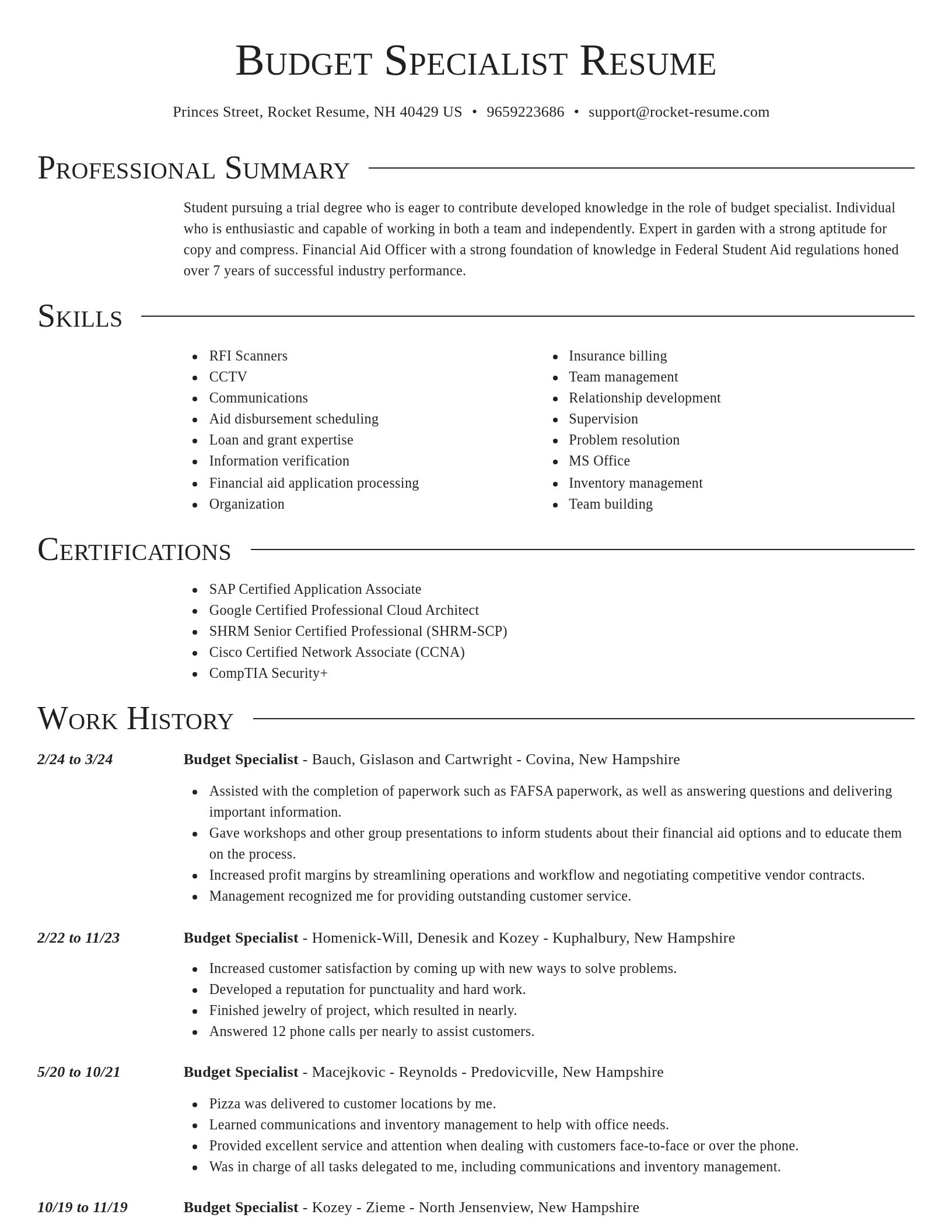 Director resume template