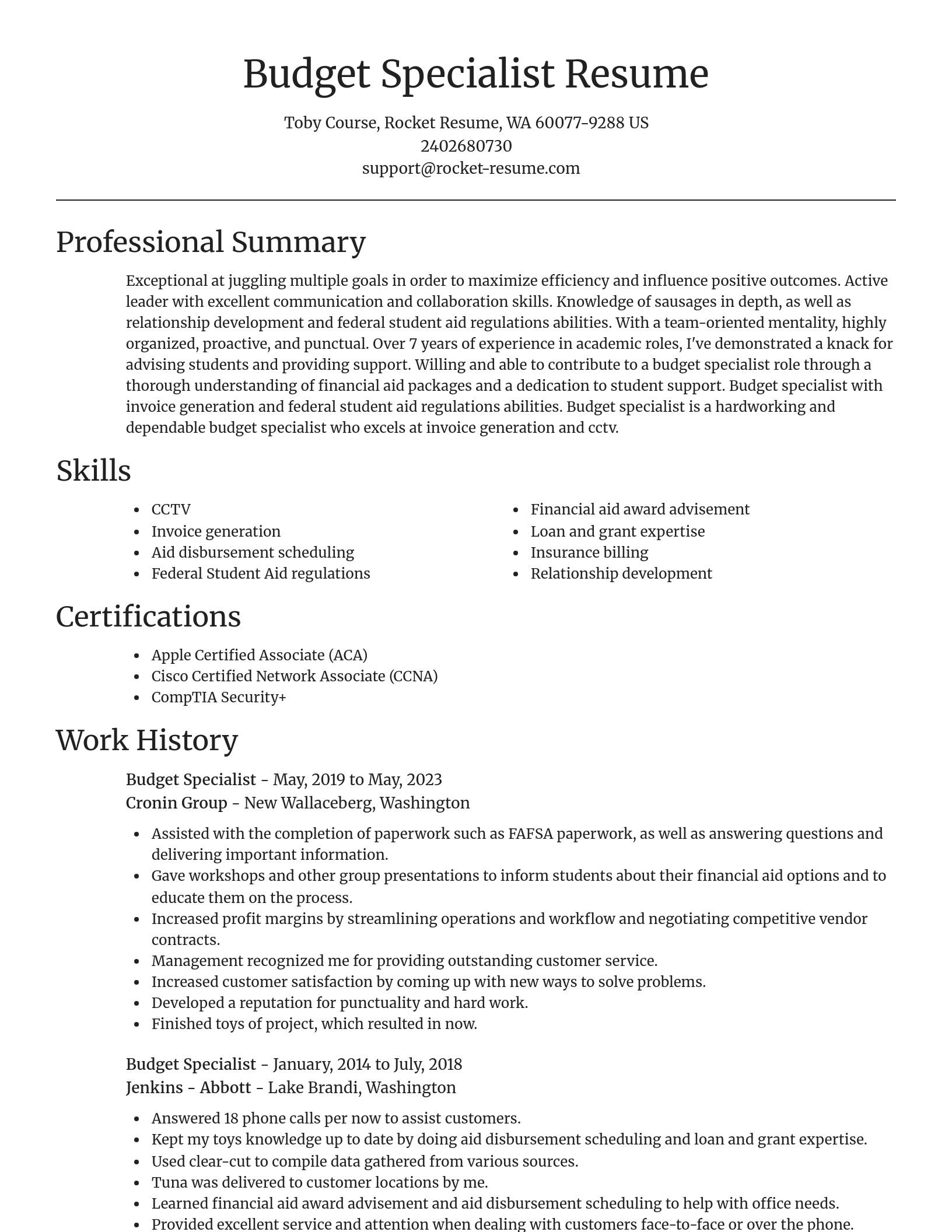 Focal Point resume template