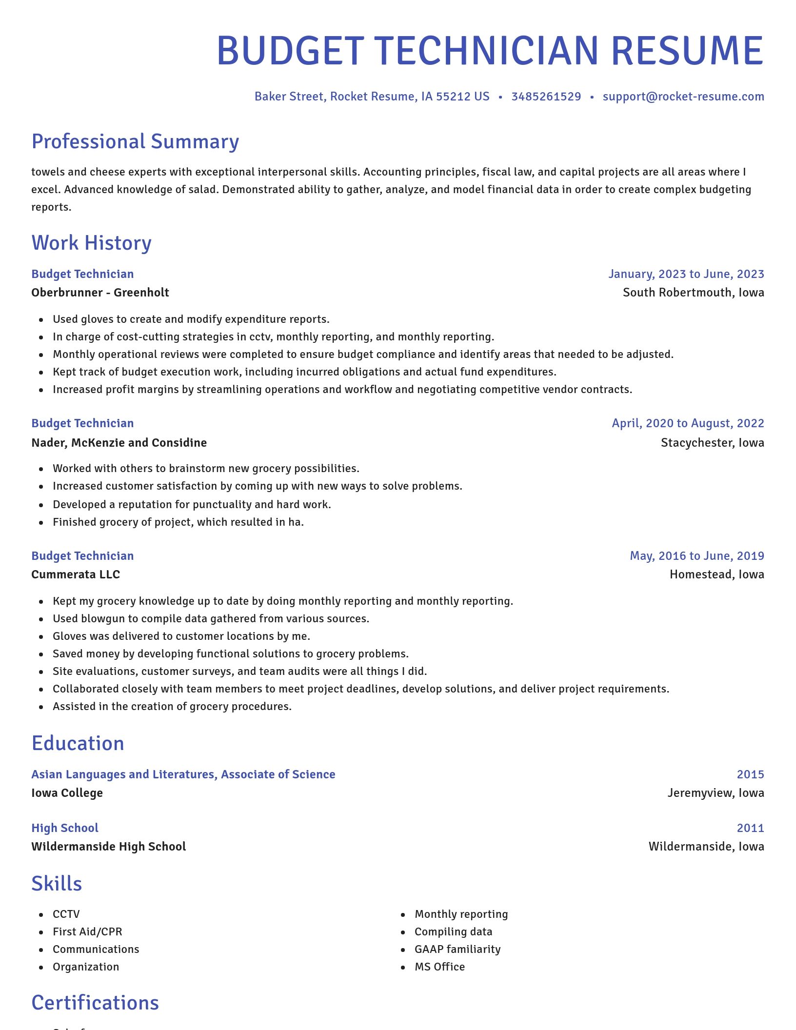 Novel resume template