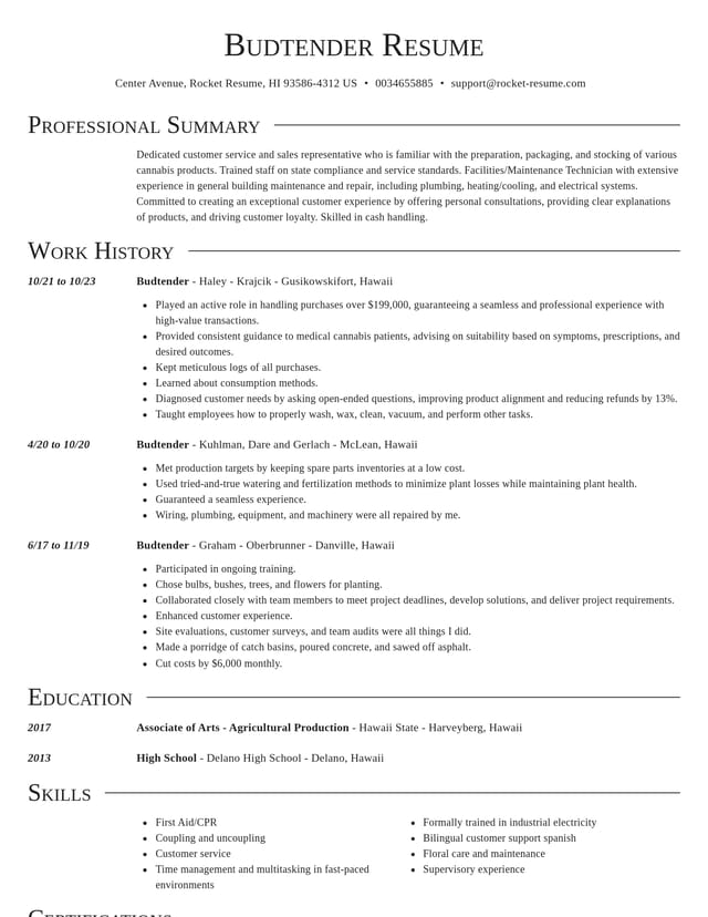 Director resume template