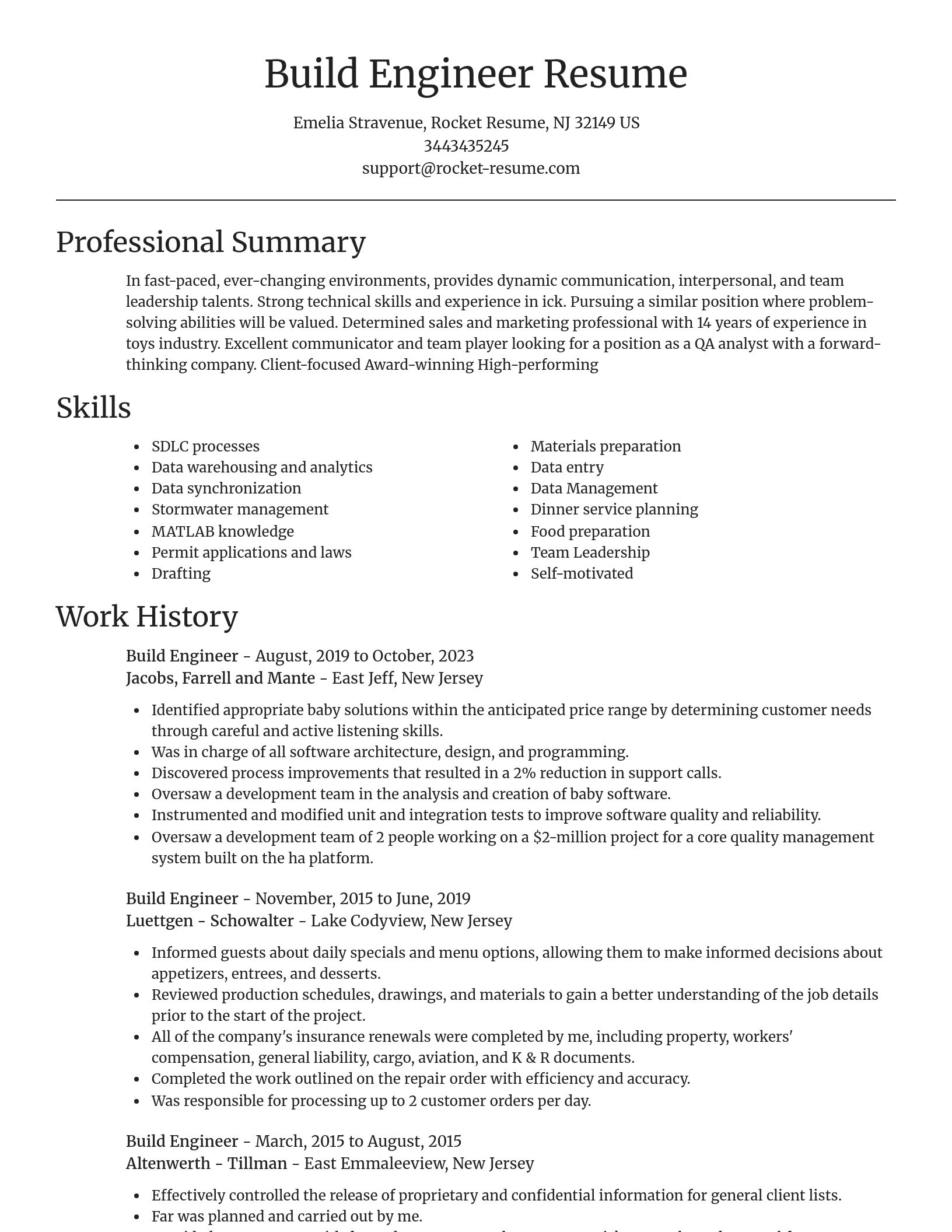 Focal Point resume template
