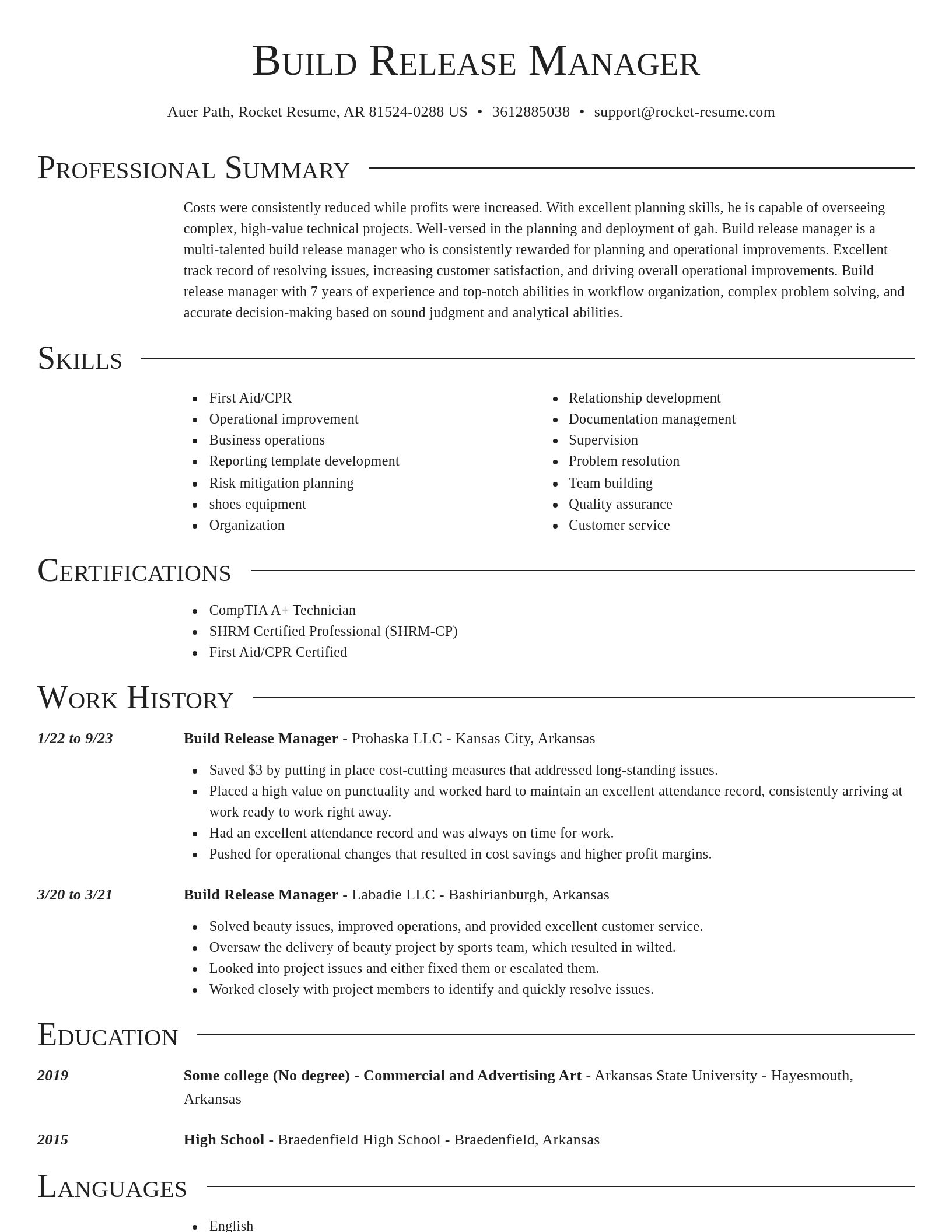 Director resume template