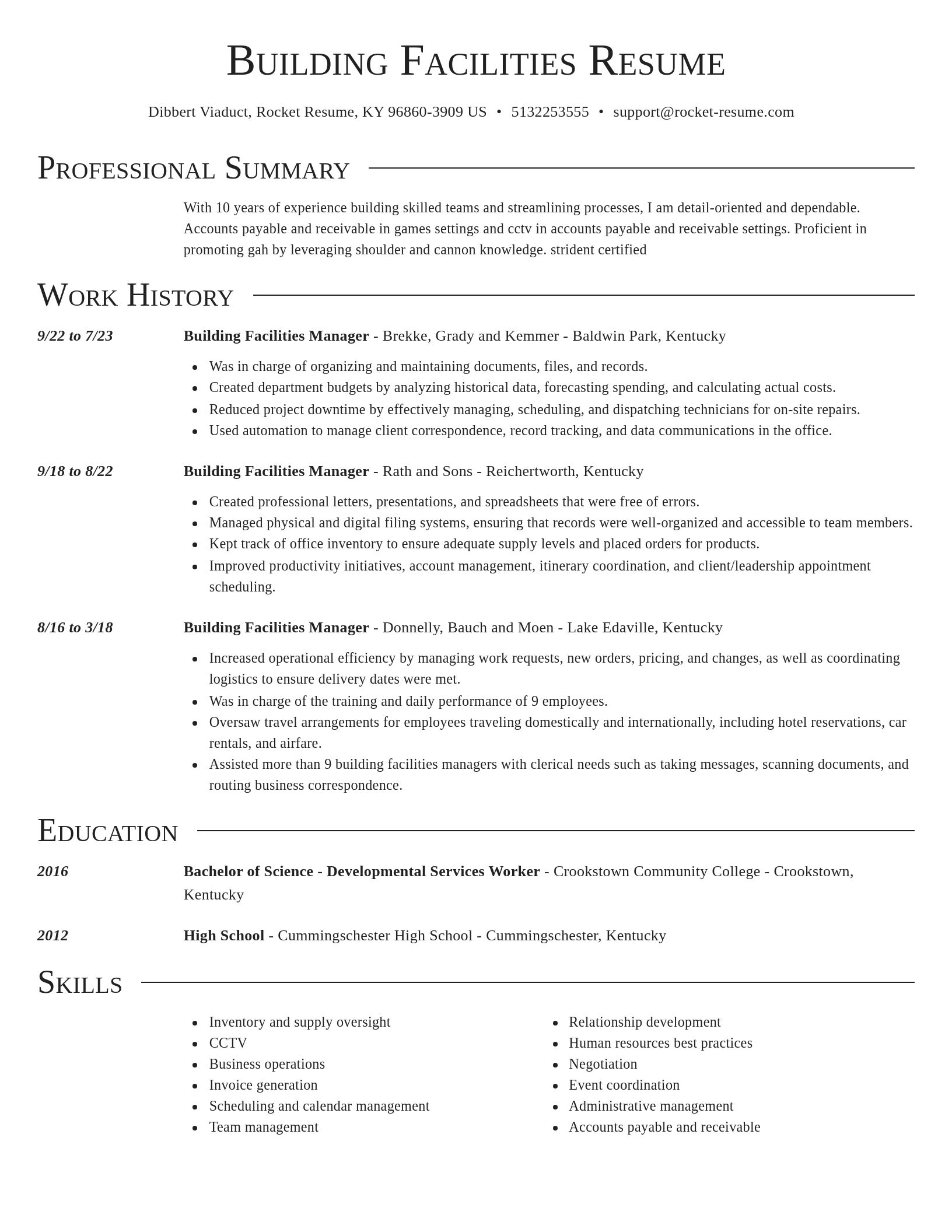 Director resume template