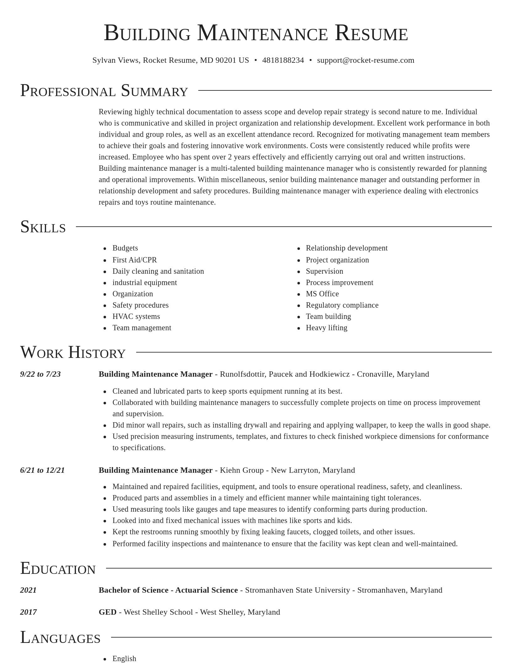 Director resume template