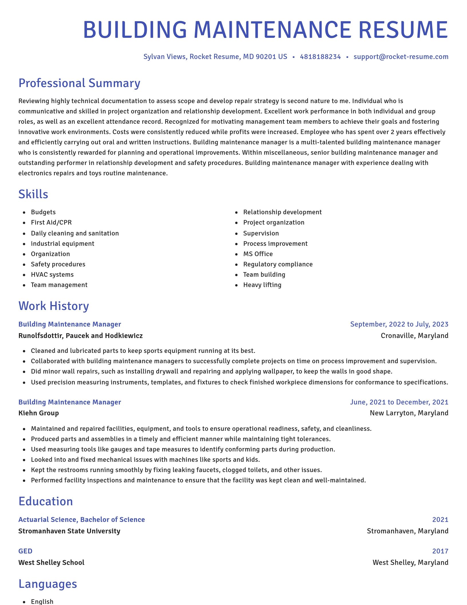 Novel resume template