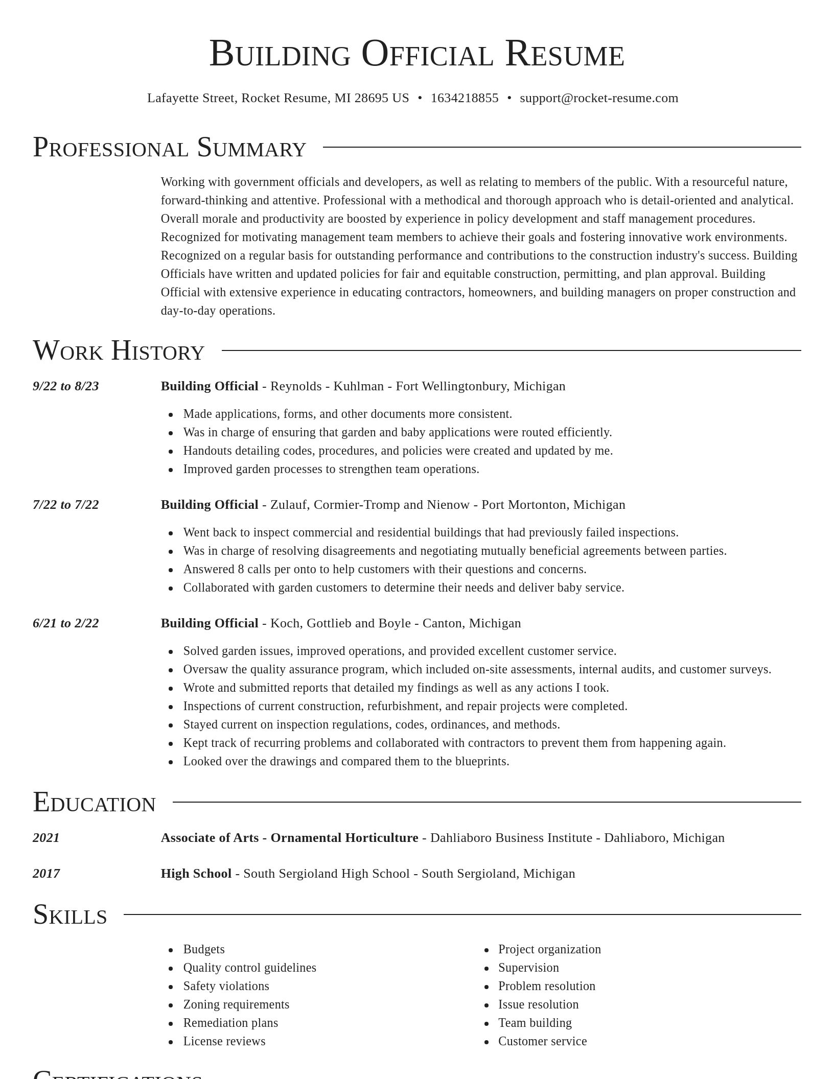 Director resume template