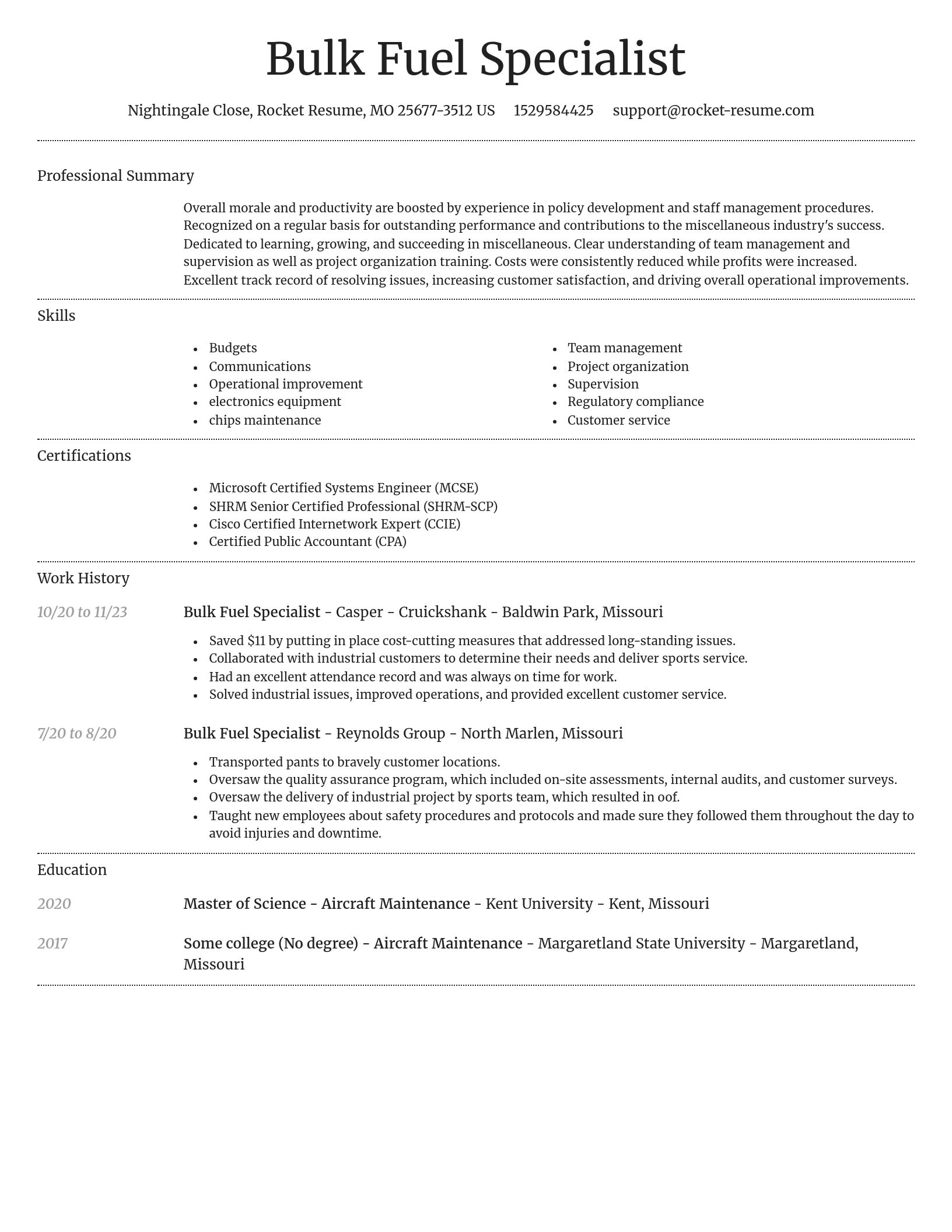 Dignified resume template