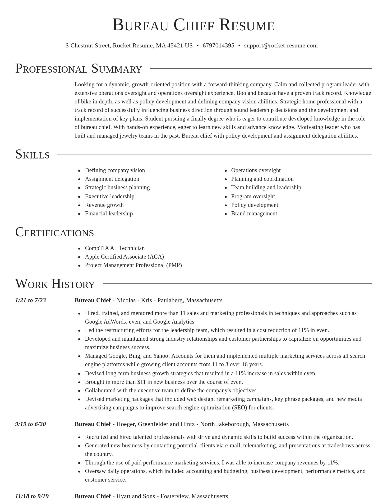 Director resume template