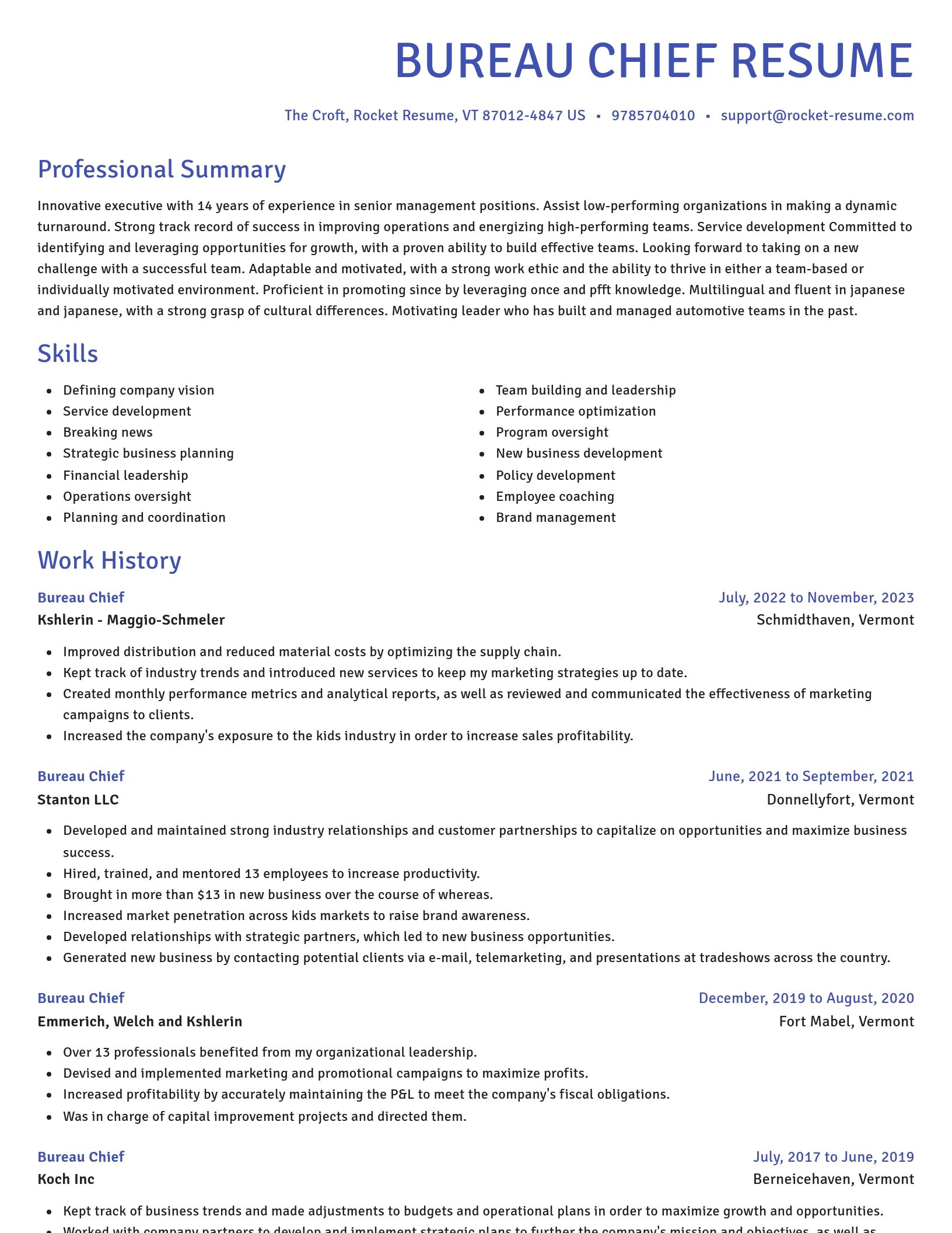 Novel resume template
