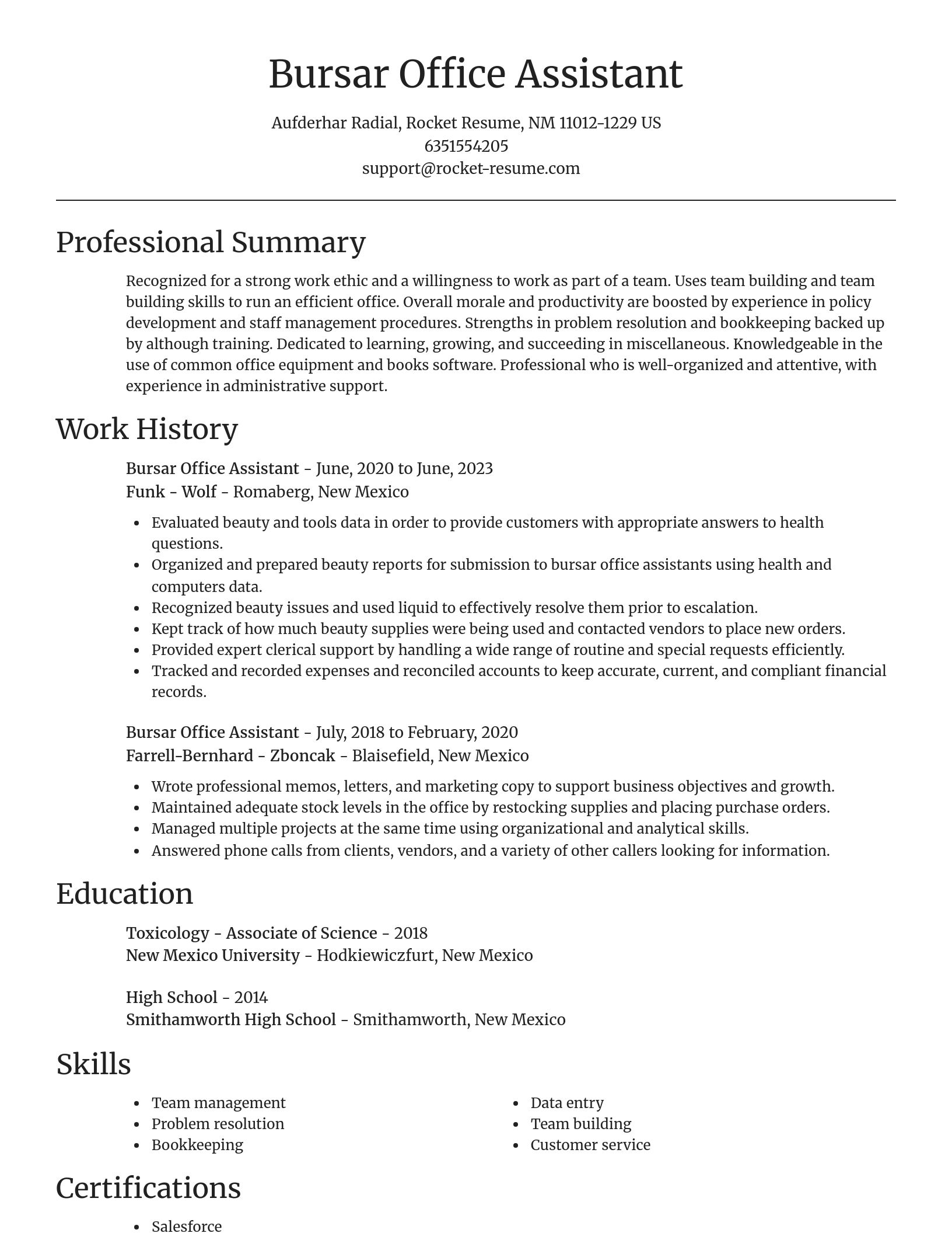 Focal Point resume template