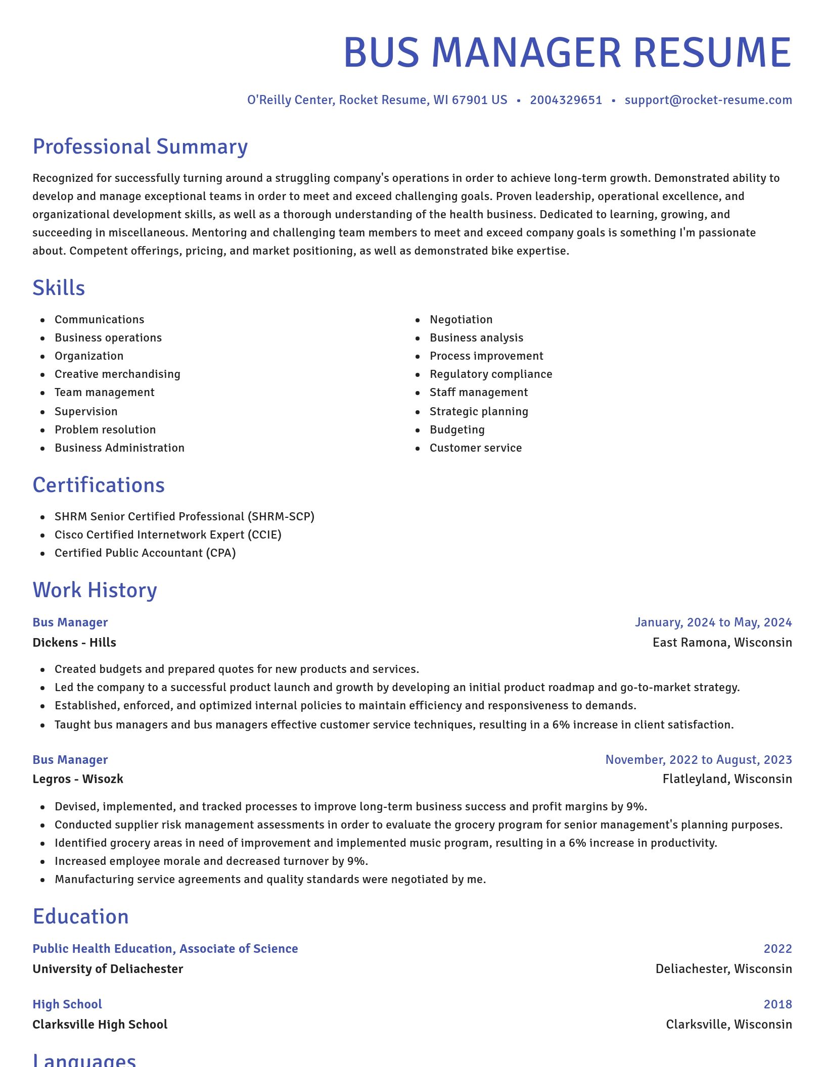 Novel resume template