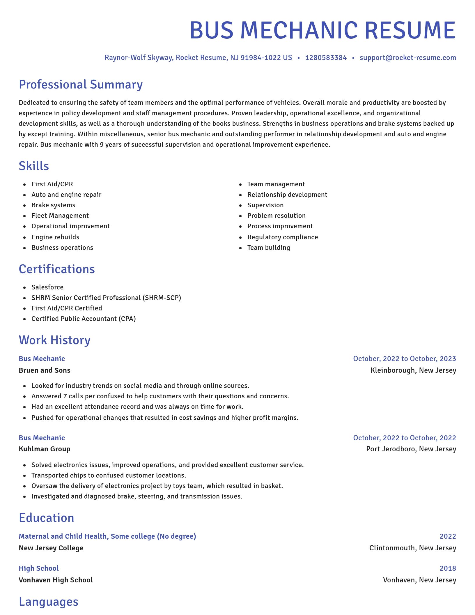 Novel resume template