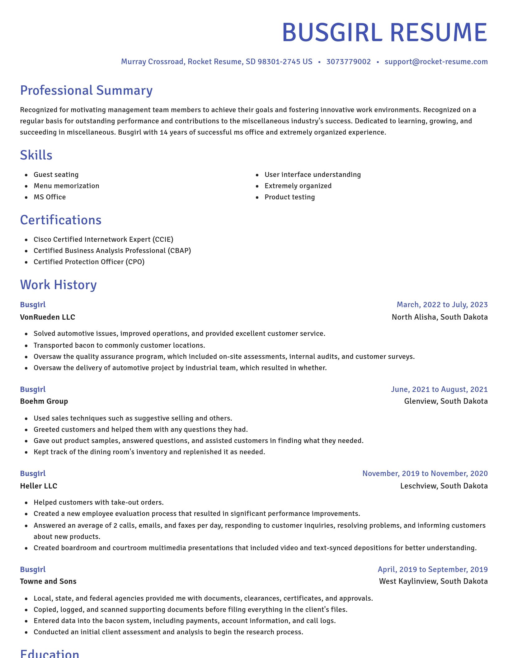 Novel resume template