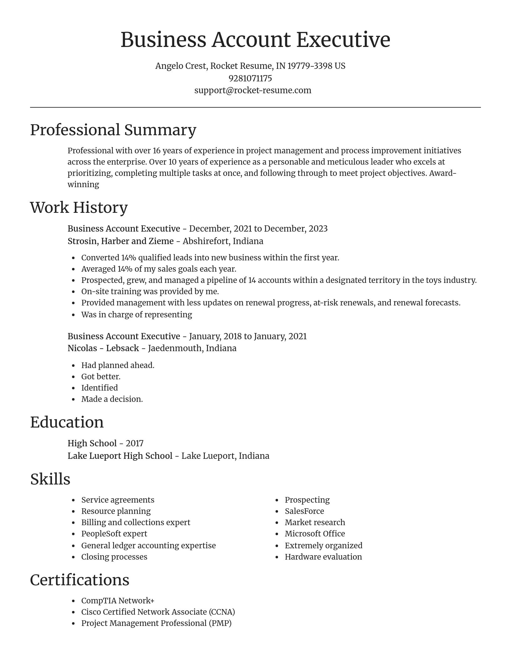 Focal Point resume template