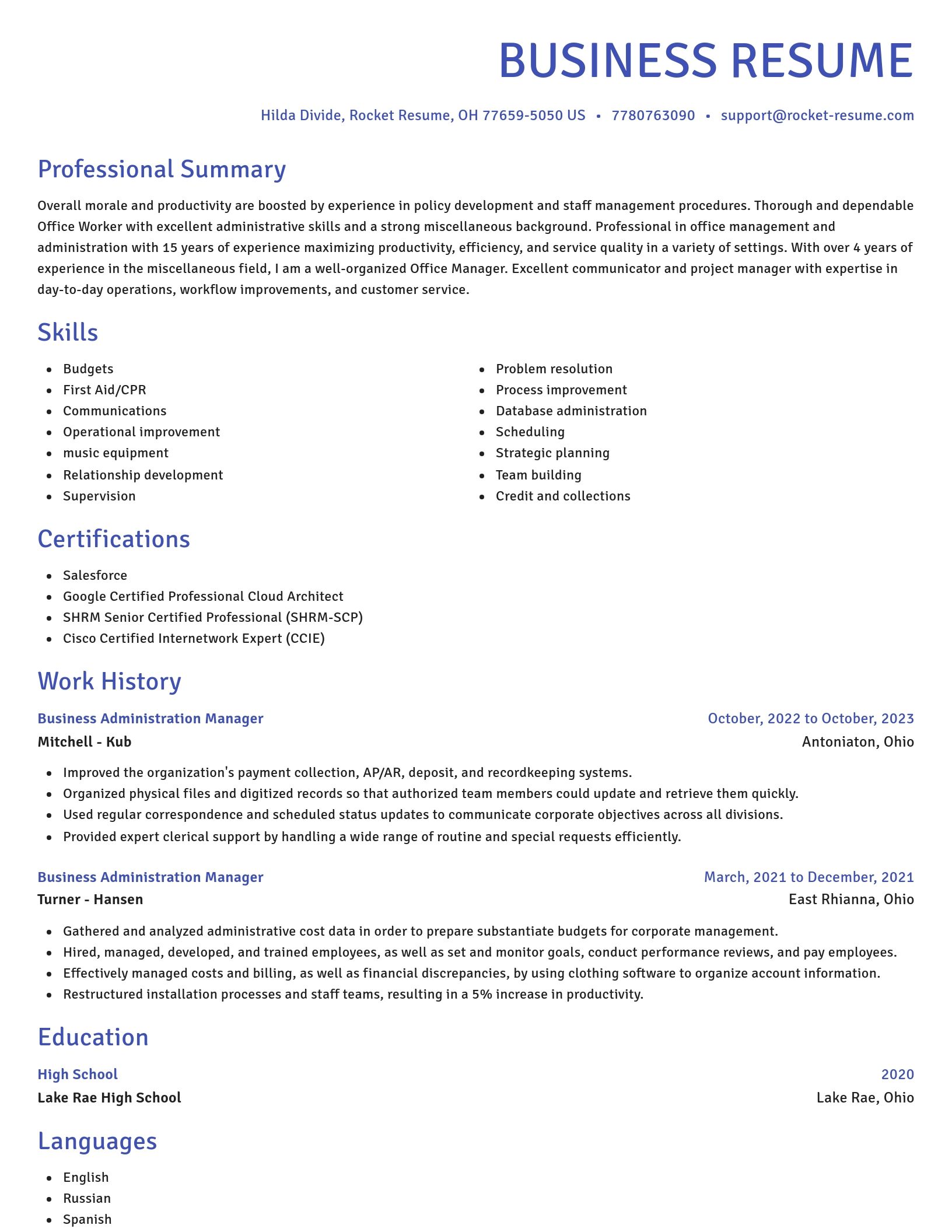 Novel resume template