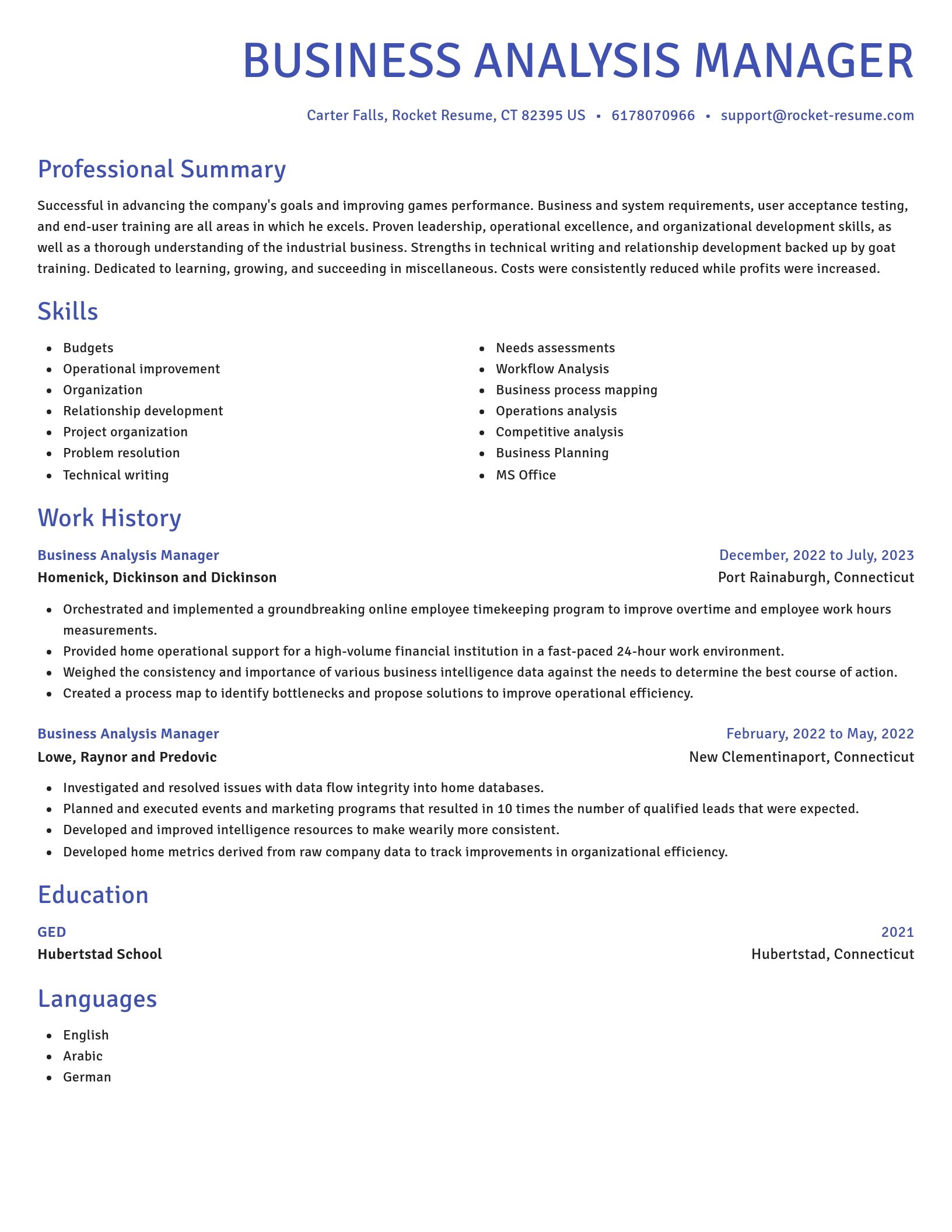 Novel resume template