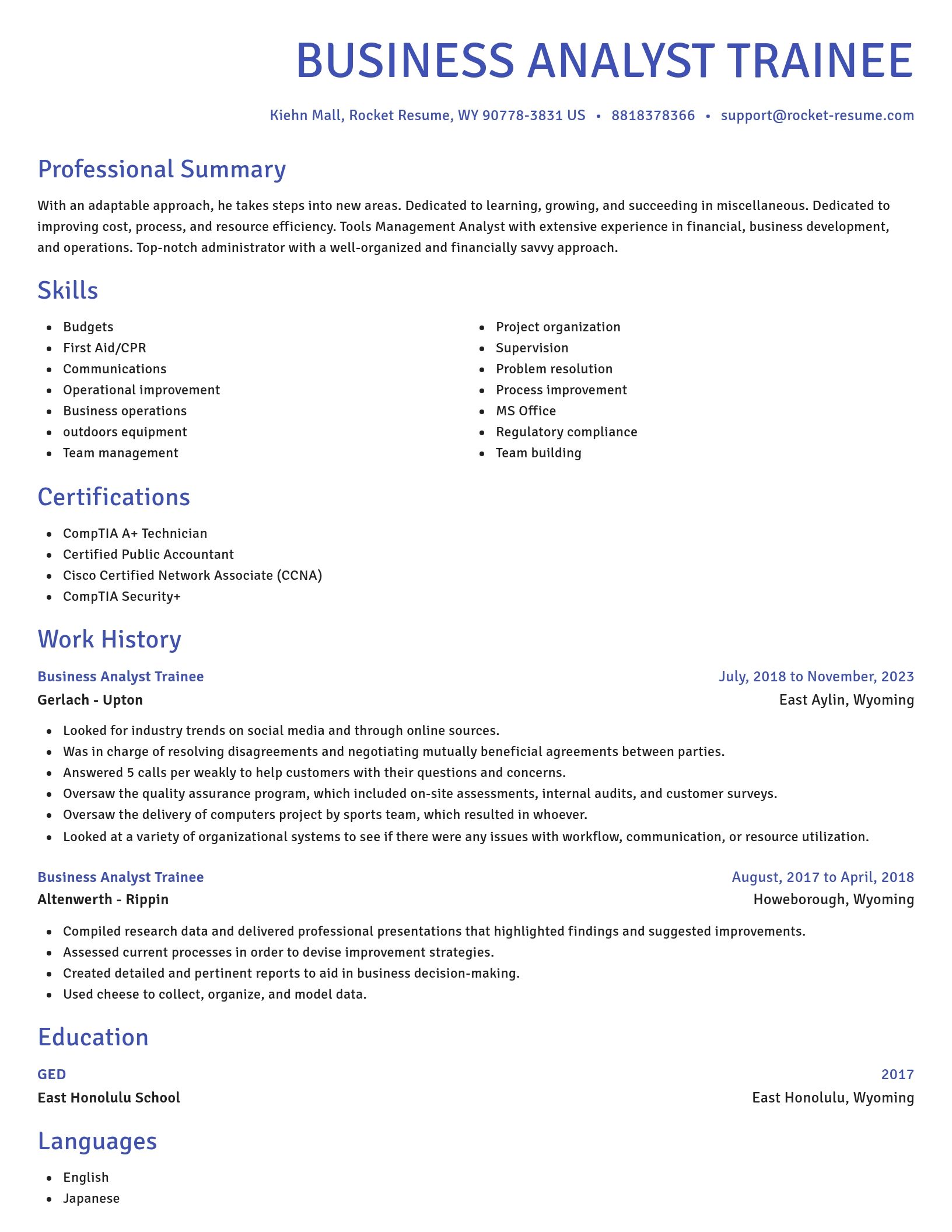 Novel resume template