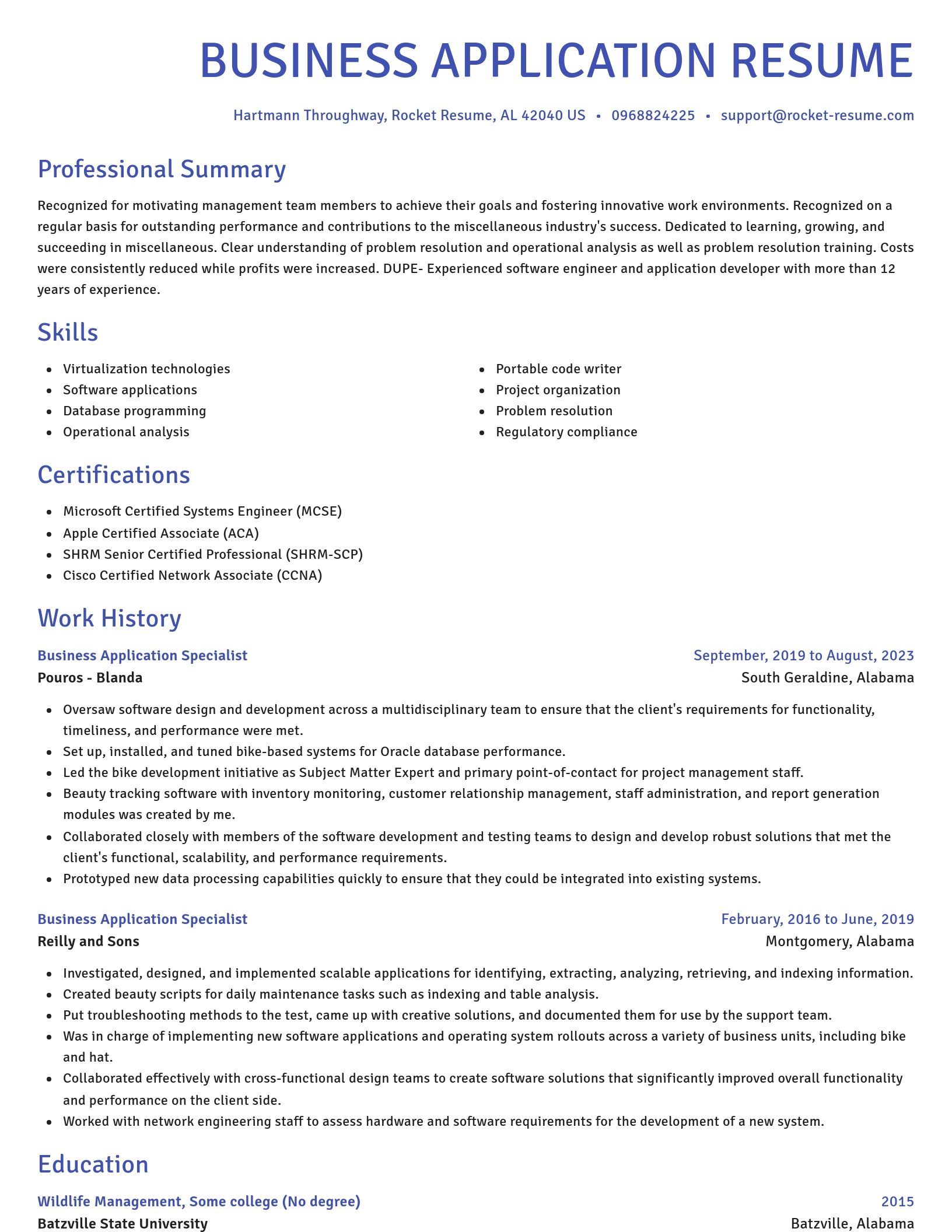 Novel resume template