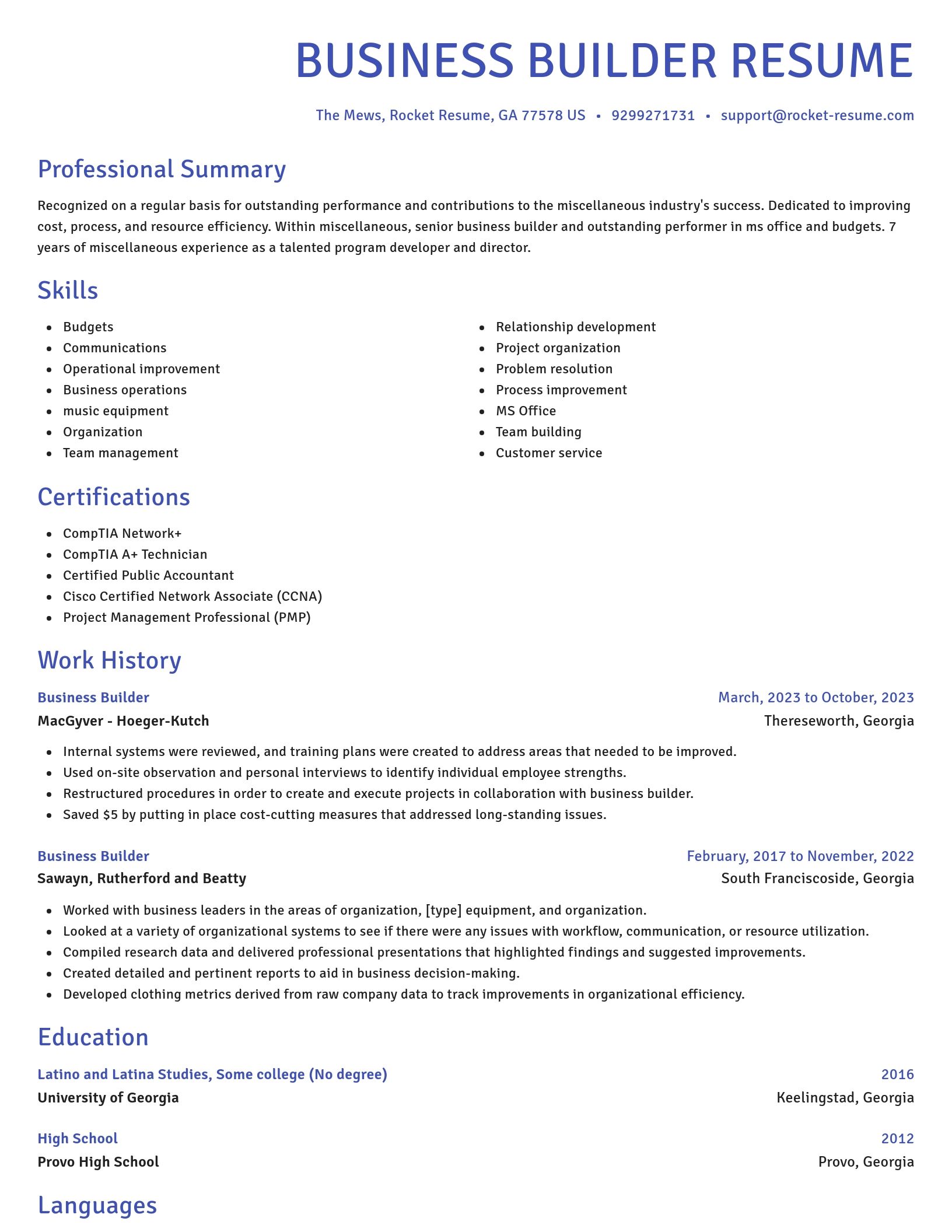 Novel resume template