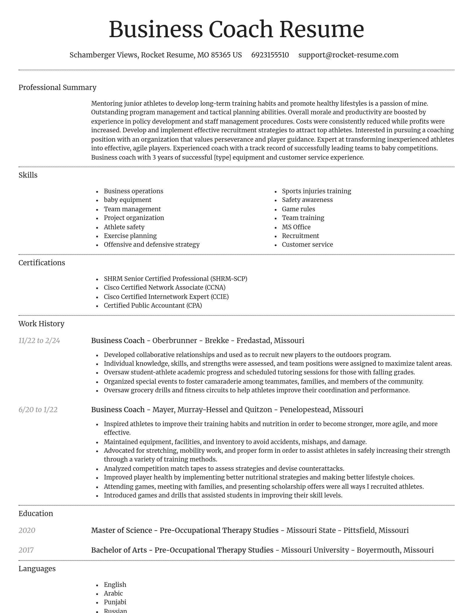 Dignified resume template
