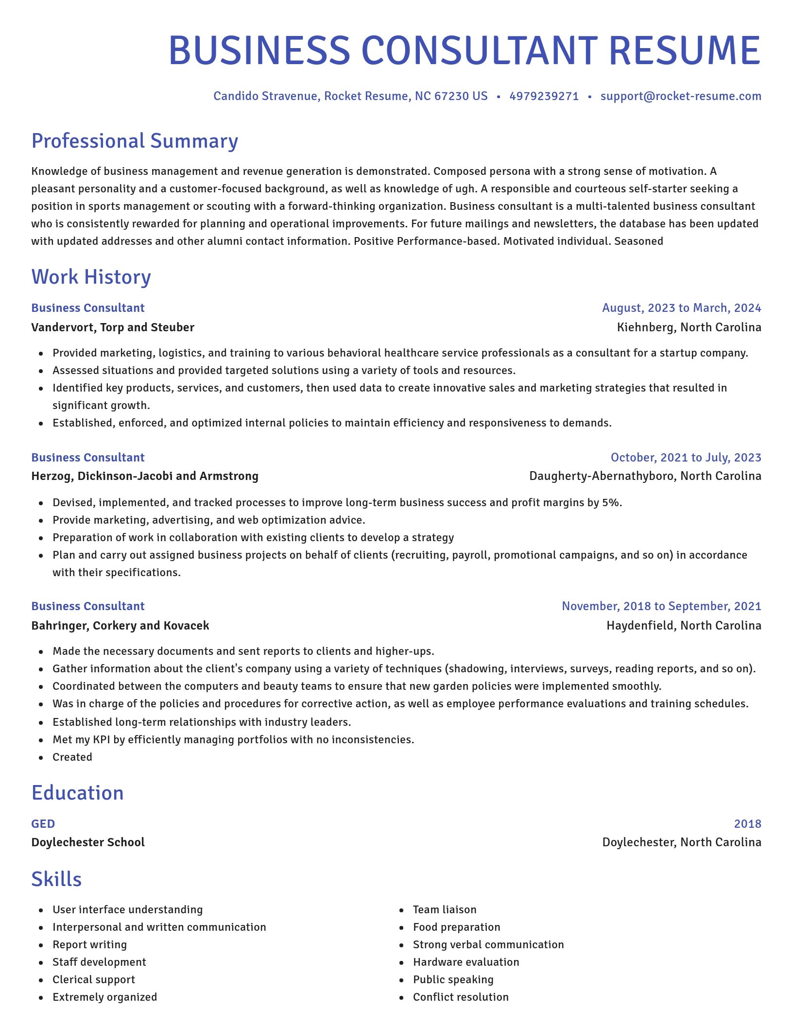 Novel resume template
