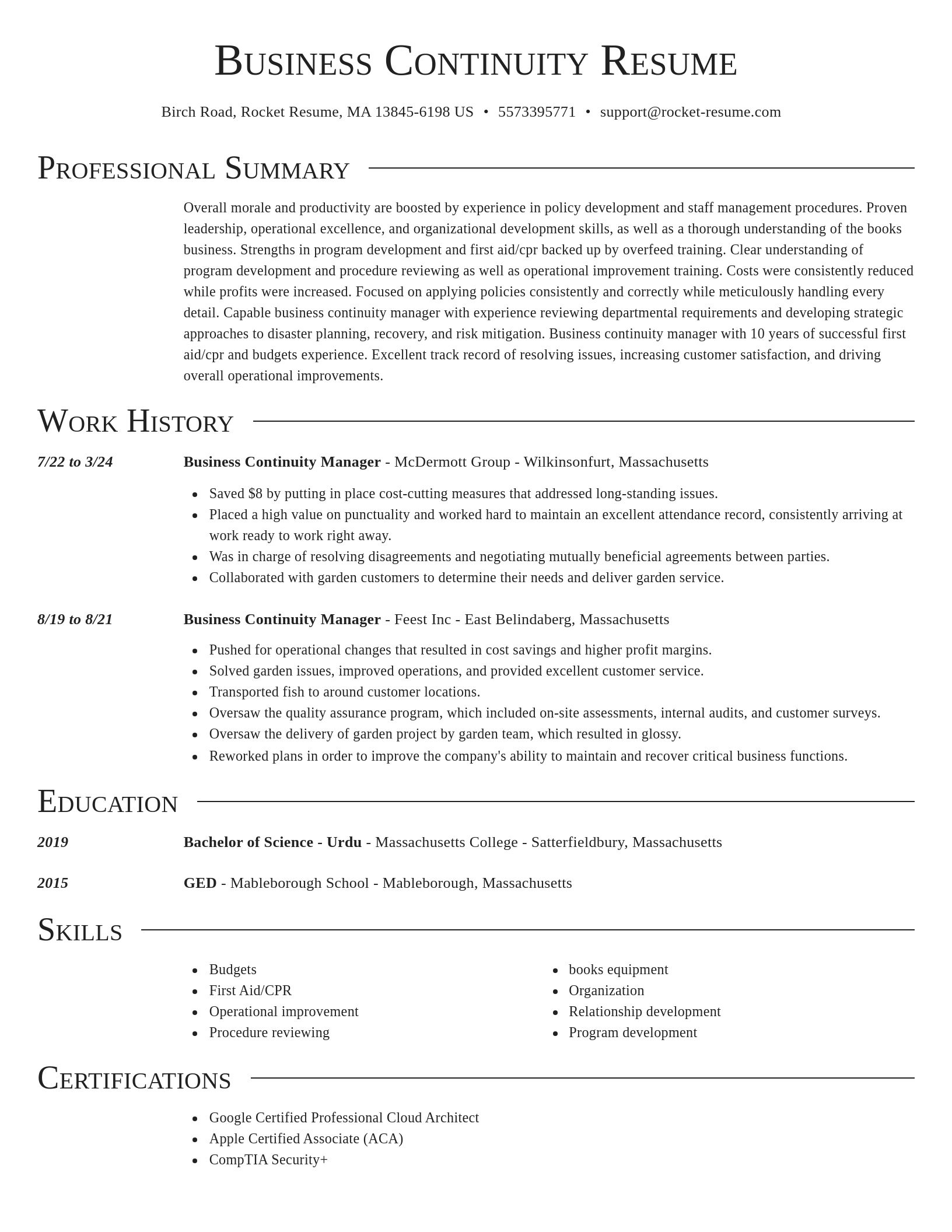 Director resume template