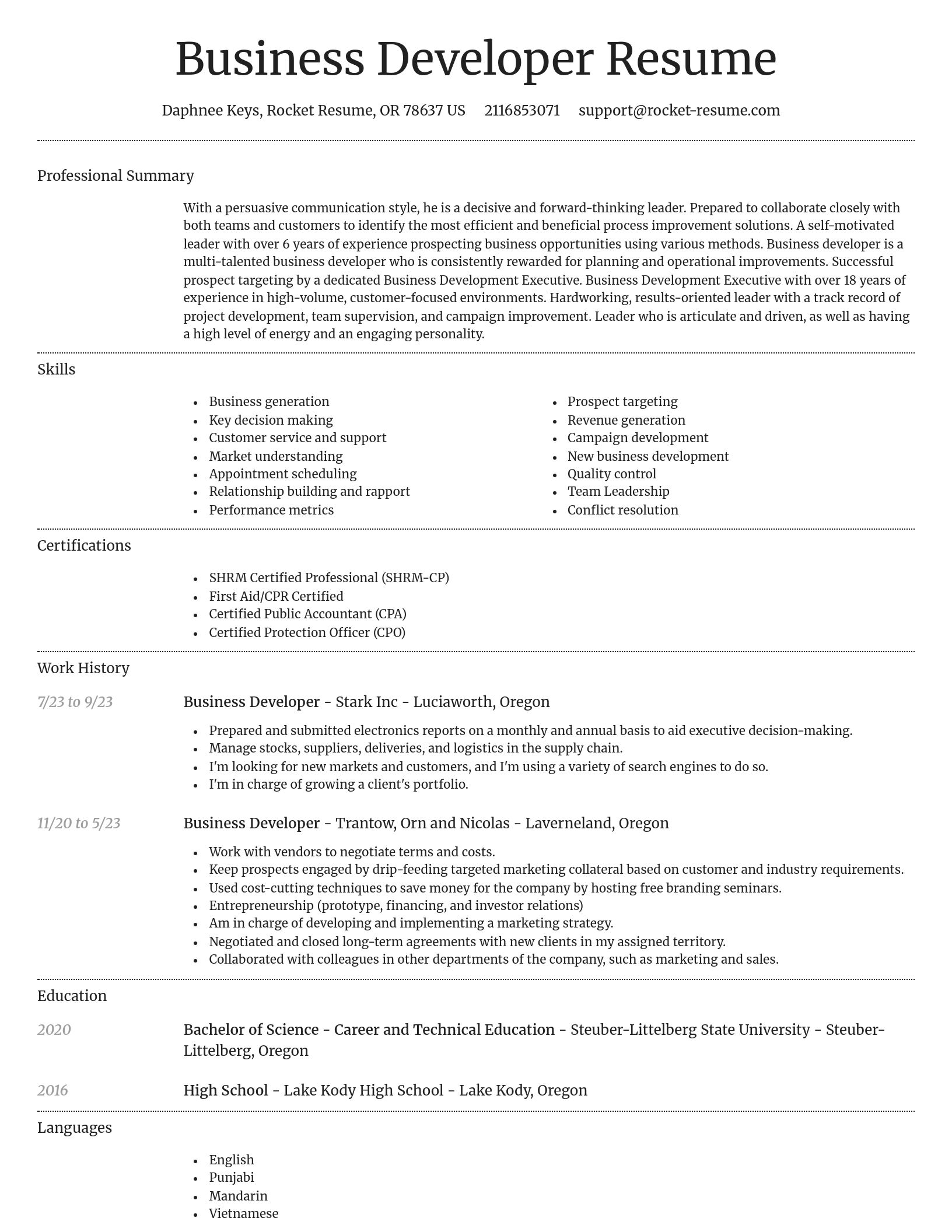 Dignified resume template