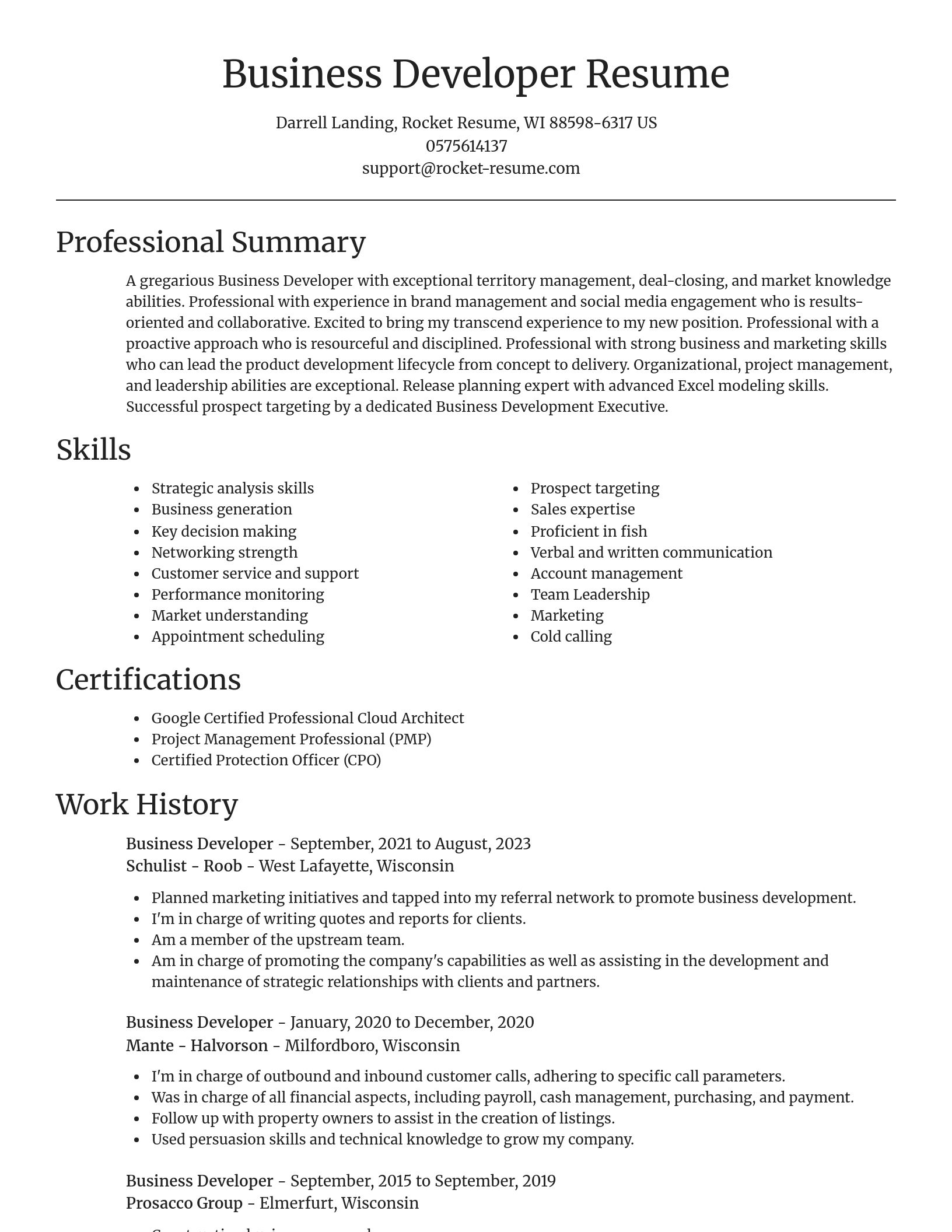 Focal Point resume template