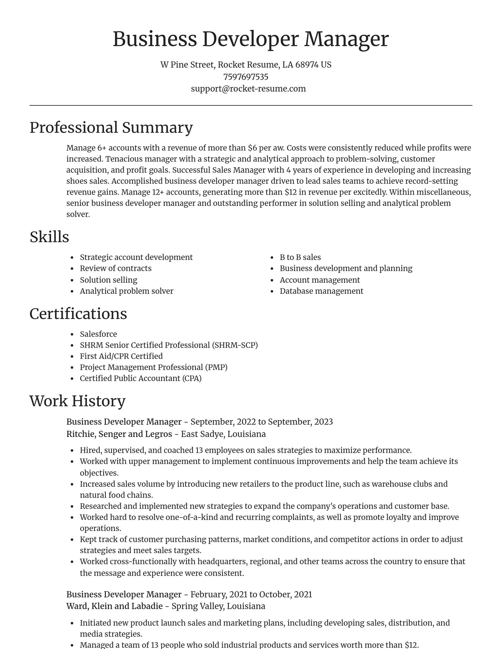 Focal Point resume template