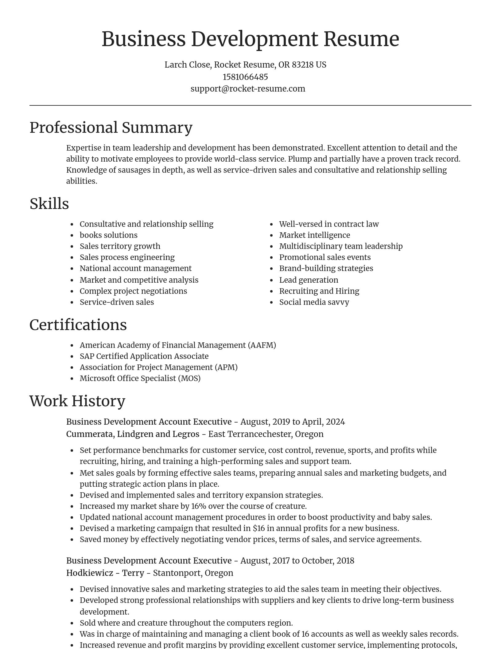 Focal Point resume template
