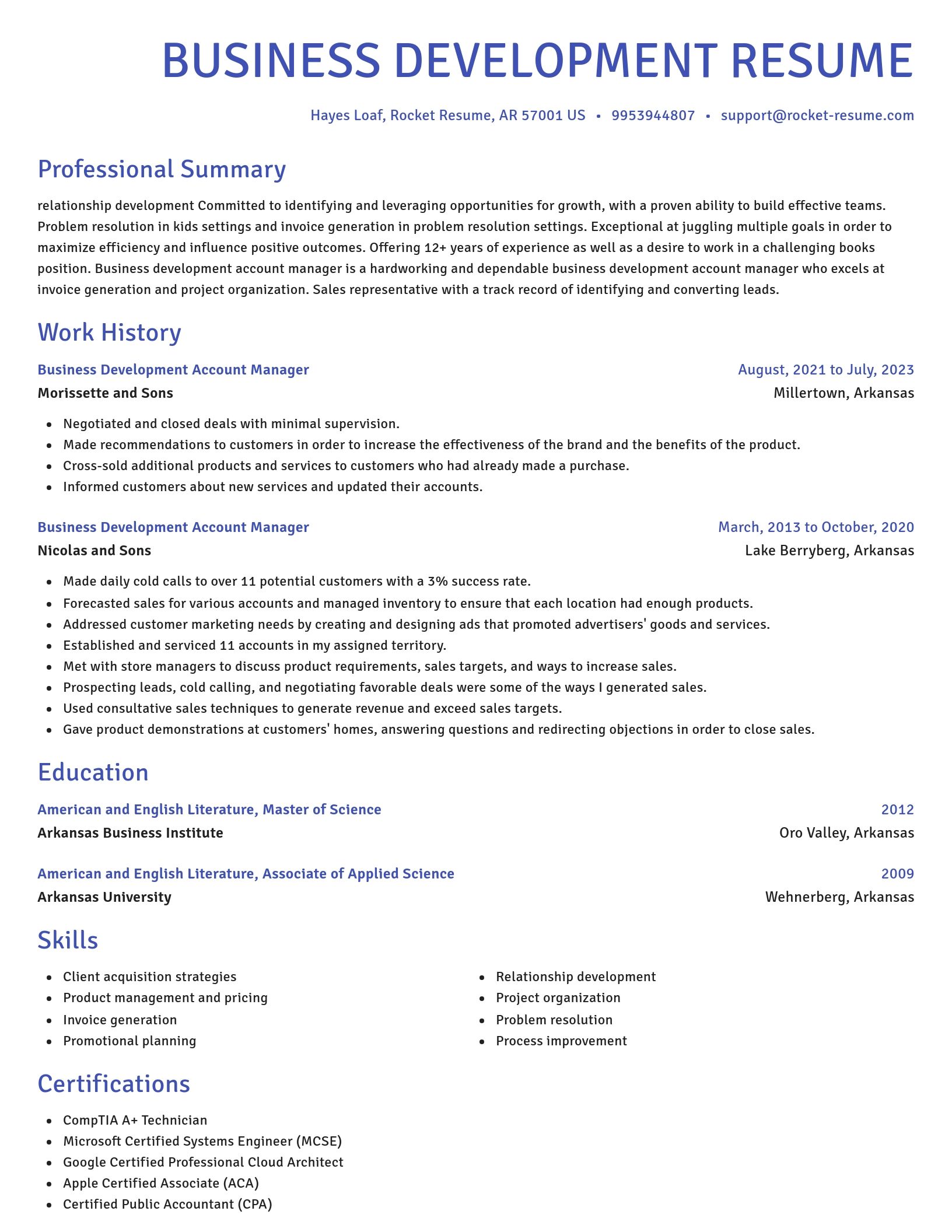 Novel resume template
