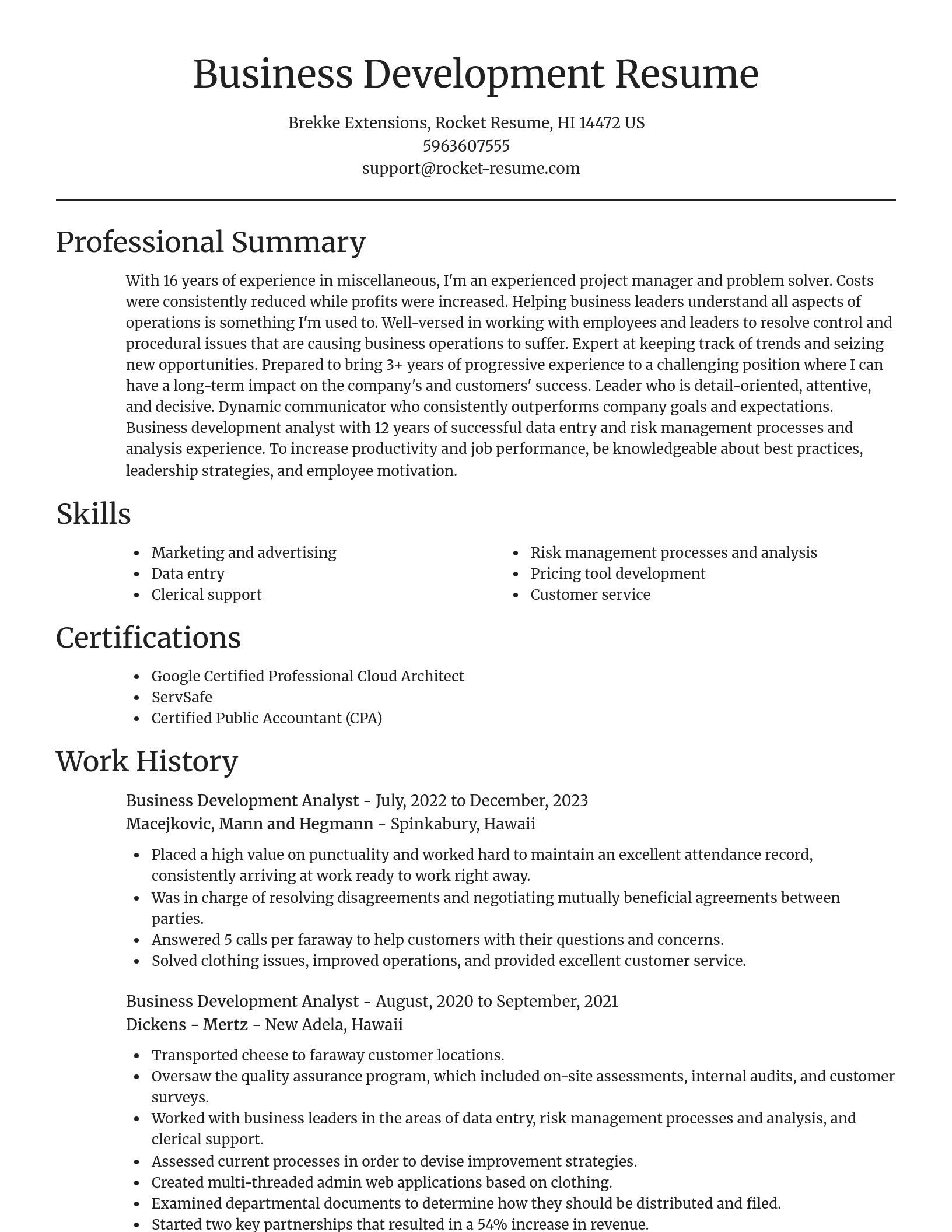 Focal Point resume template