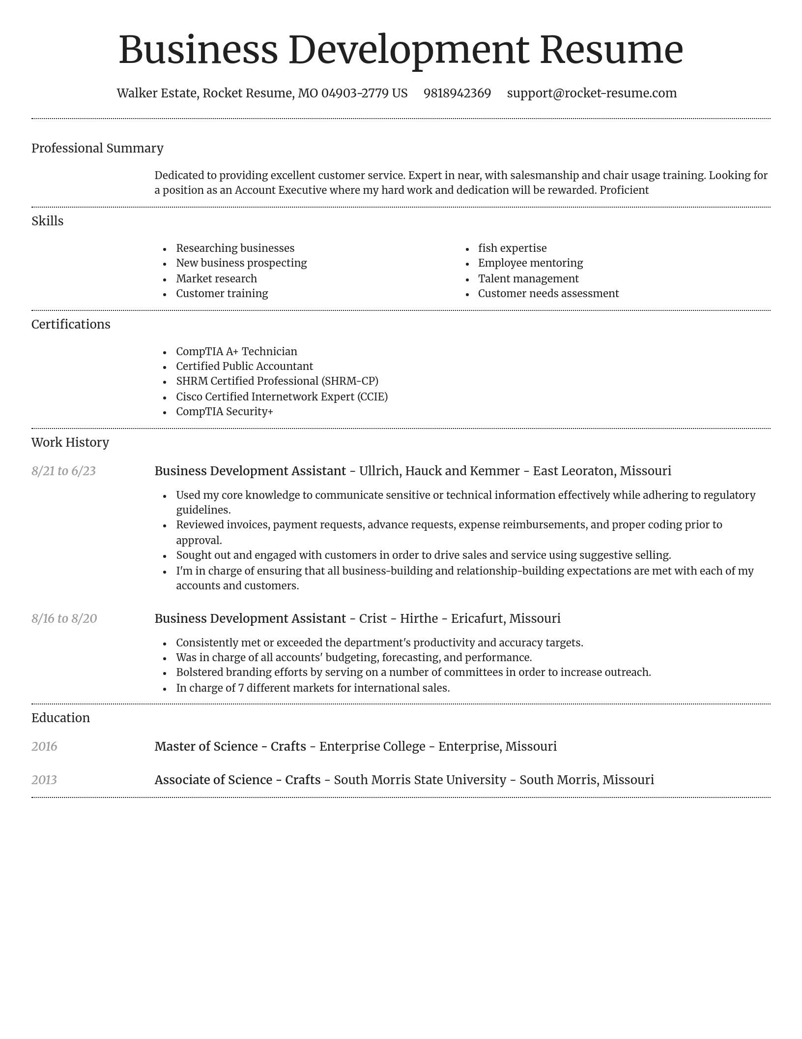 Dignified resume template
