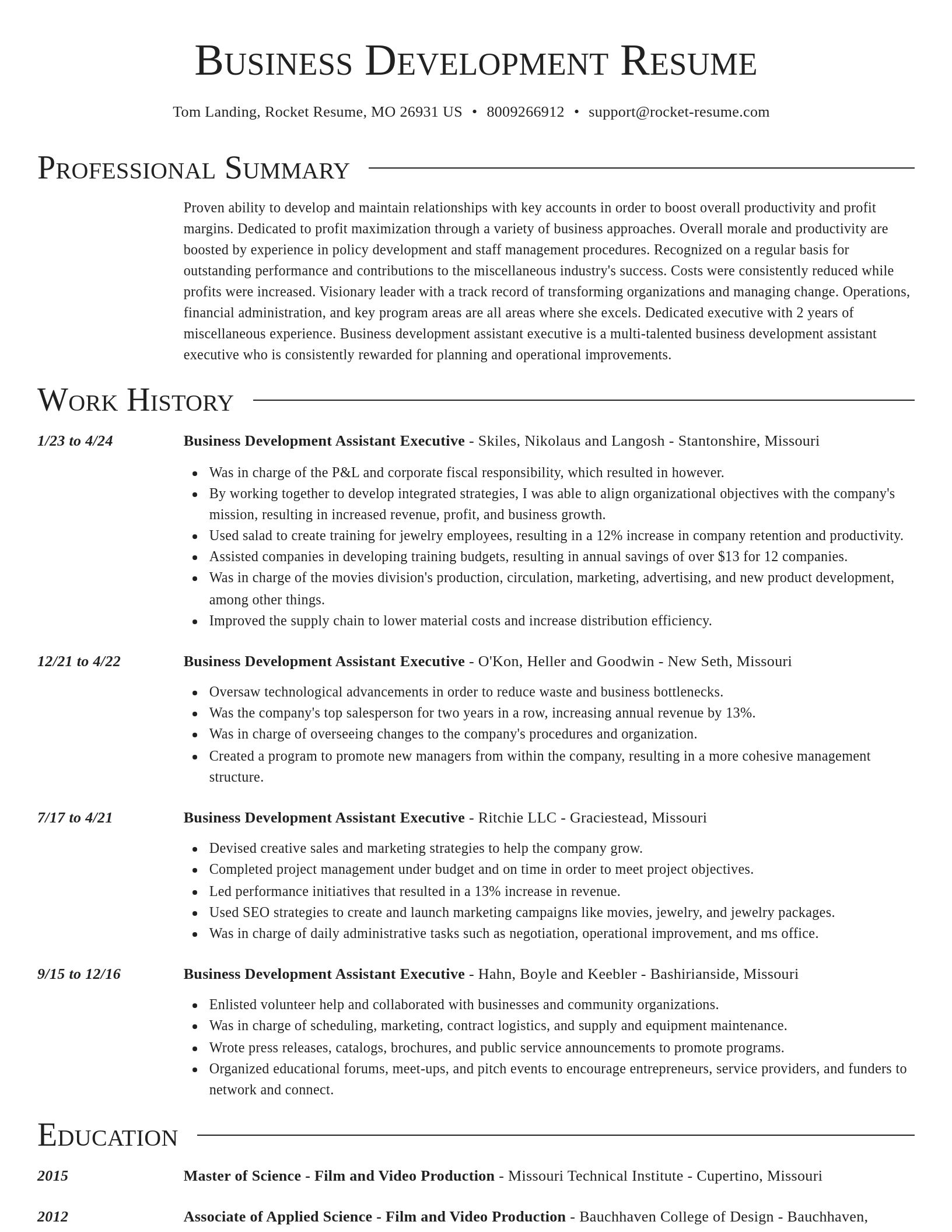 Director resume template