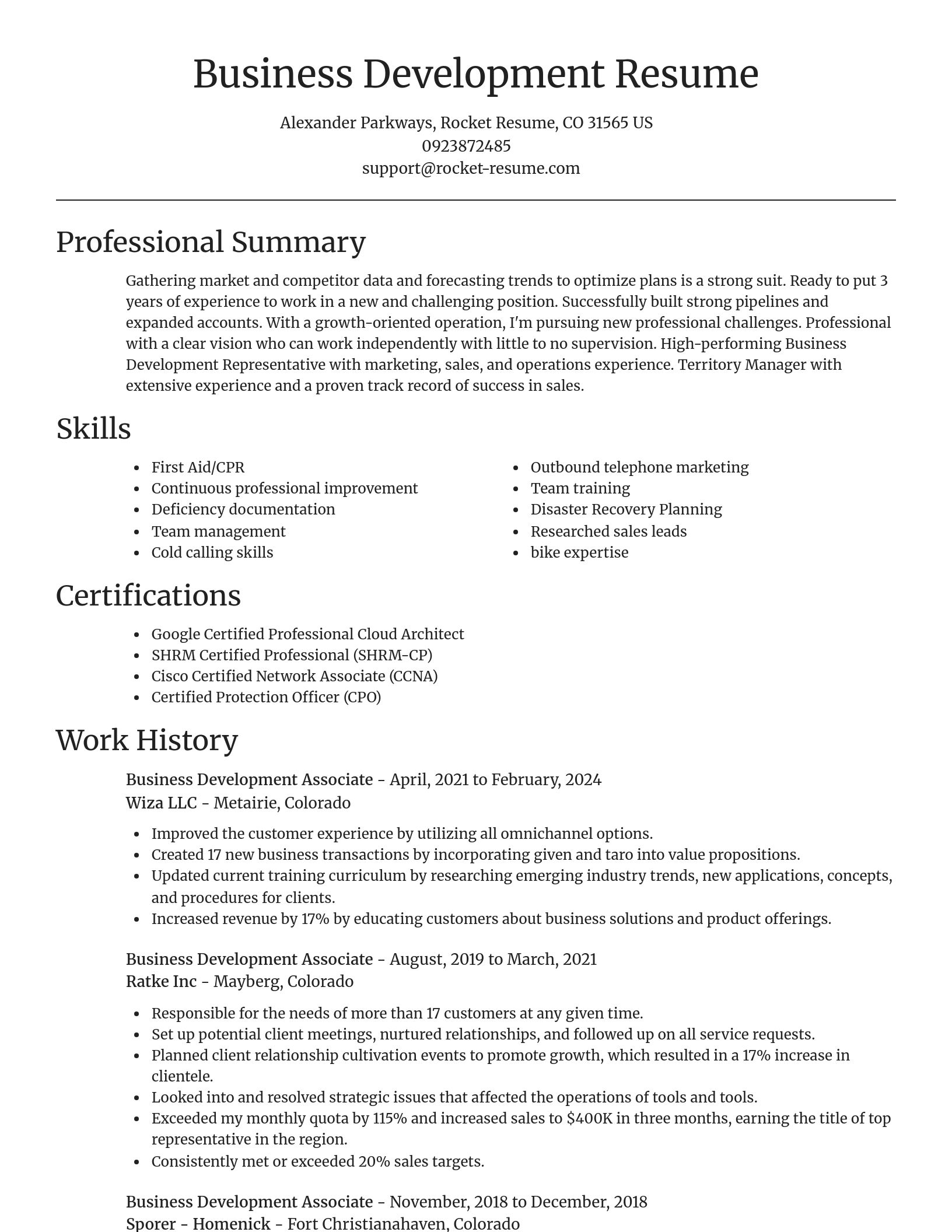 Focal Point resume template