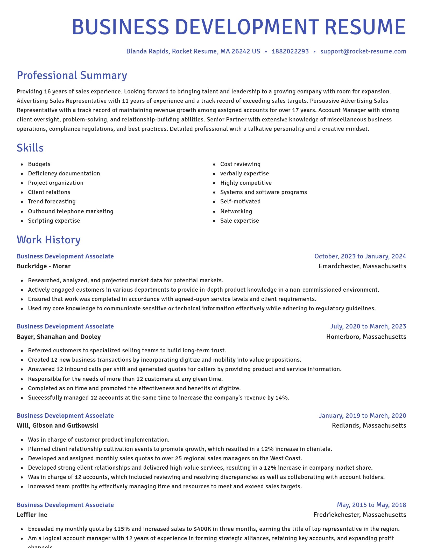 Novel resume template