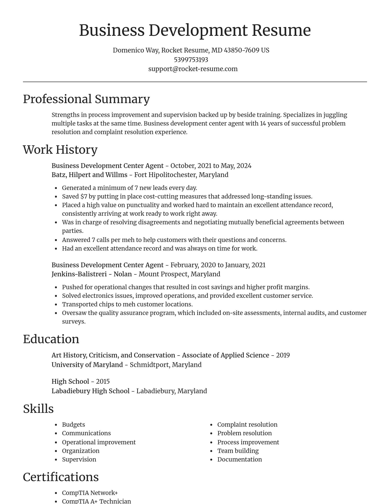 Focal Point resume template