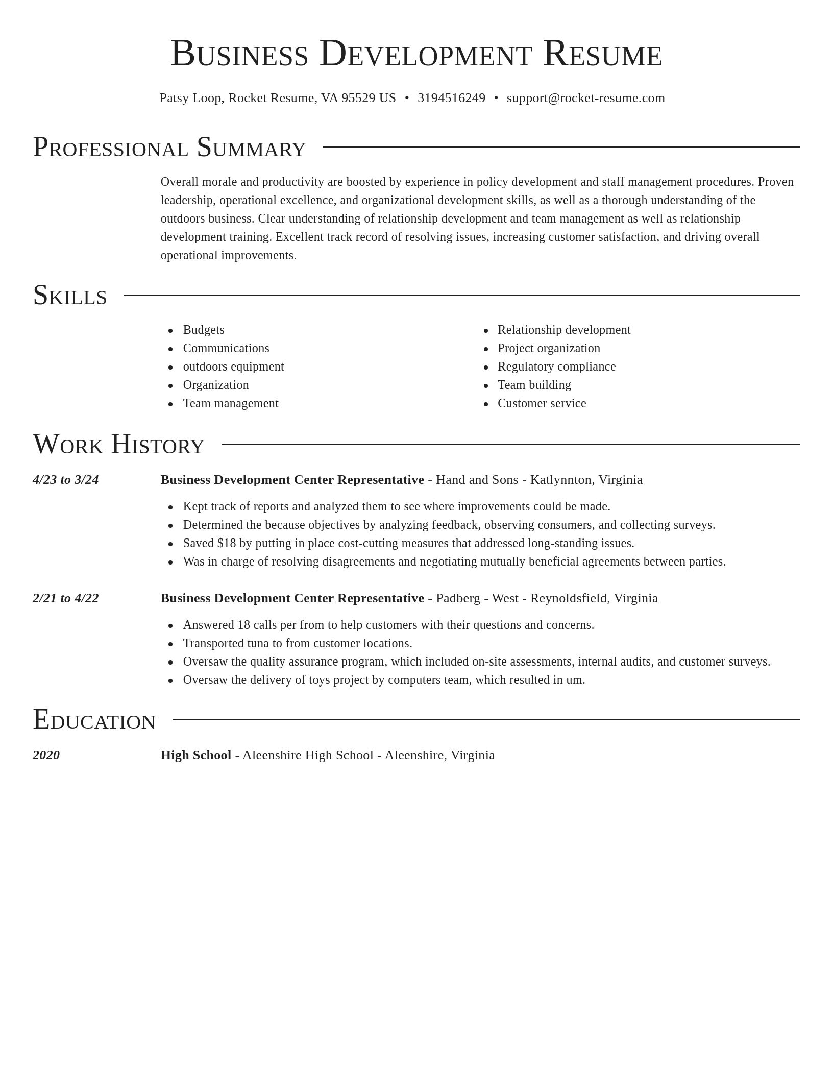 Director resume template