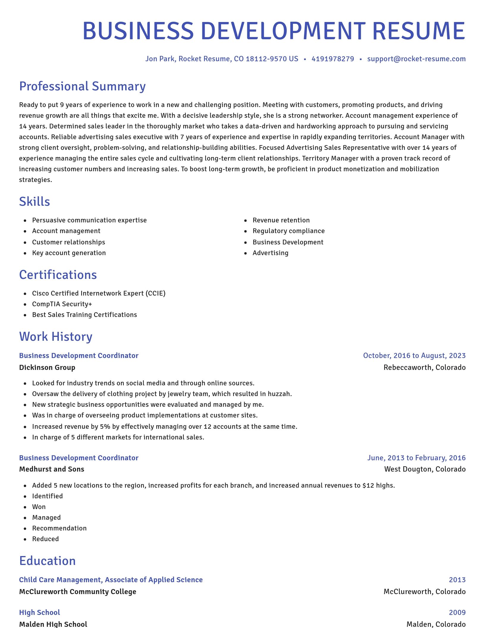 Novel resume template