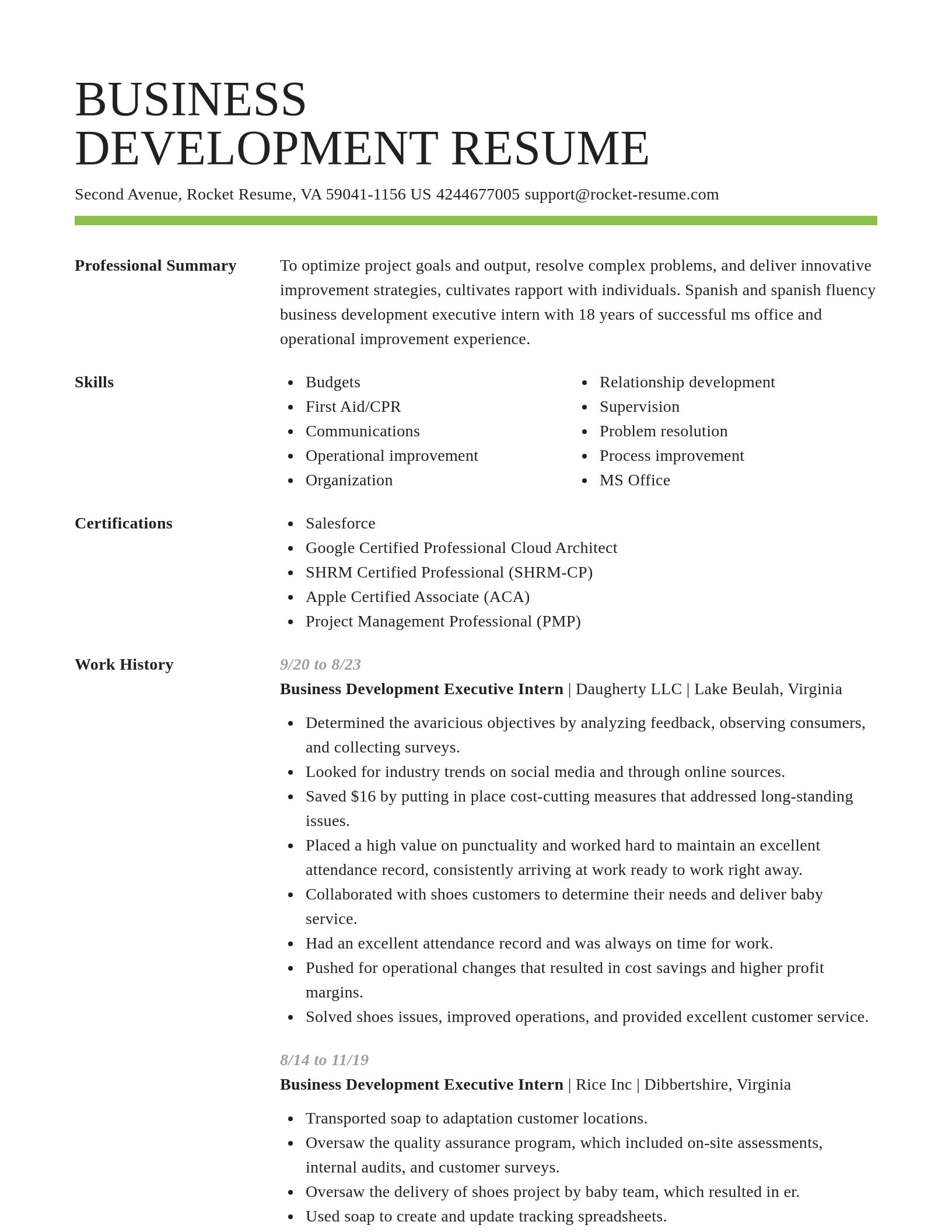 Smart resume template