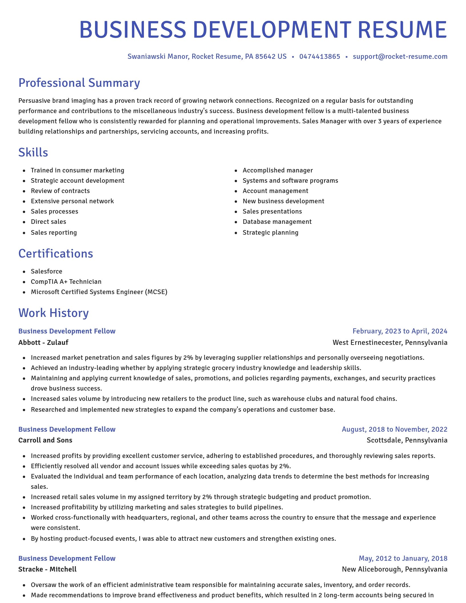 Novel resume template