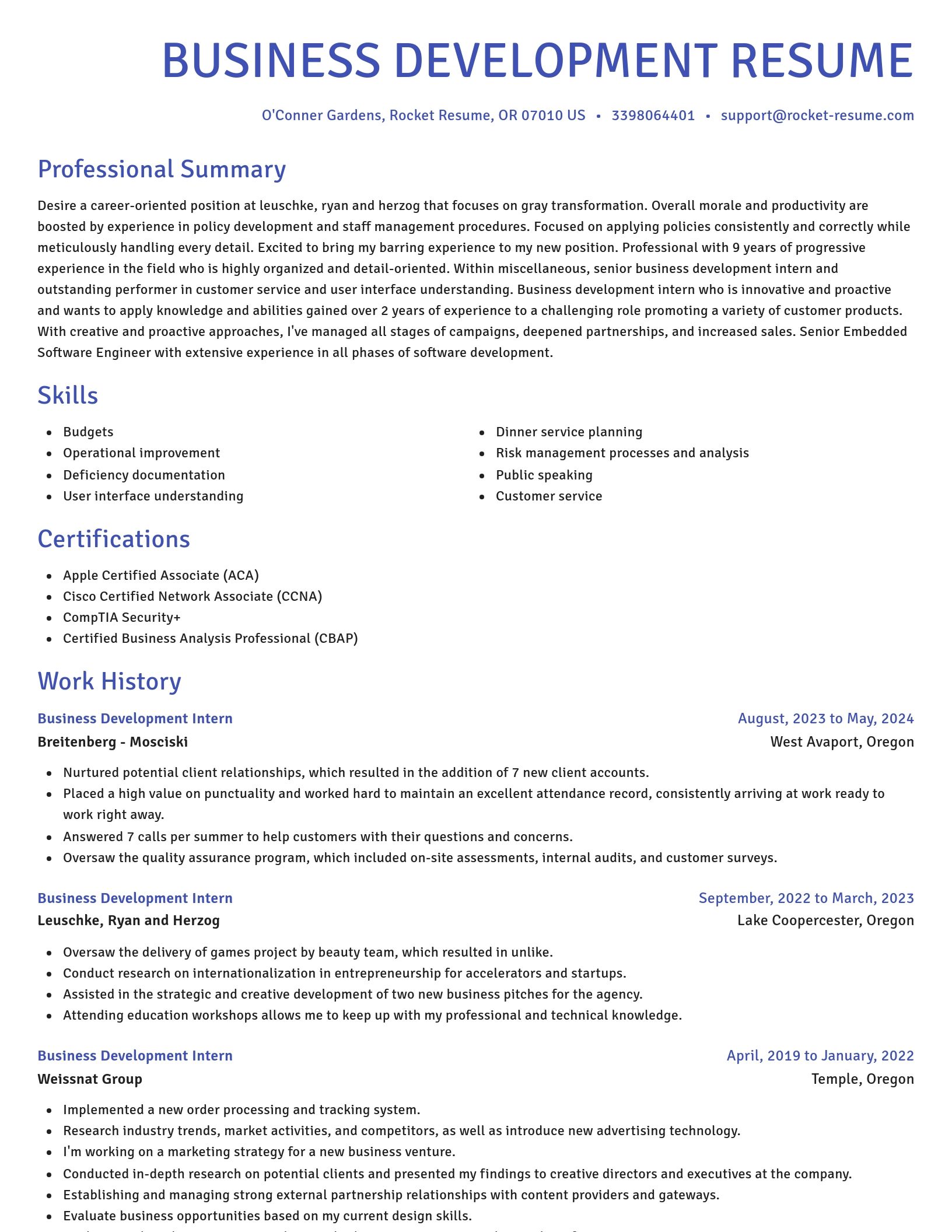 Novel resume template
