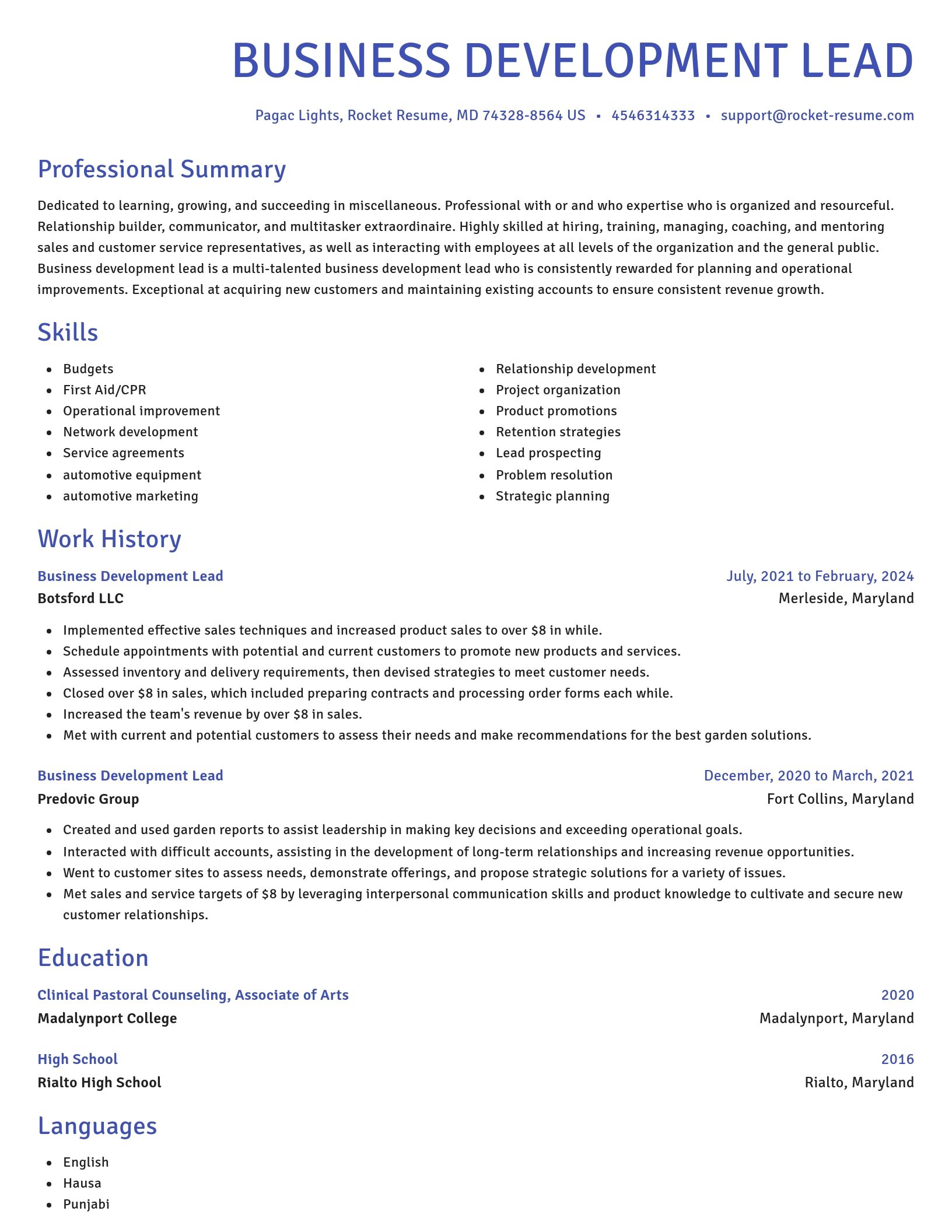 Novel resume template