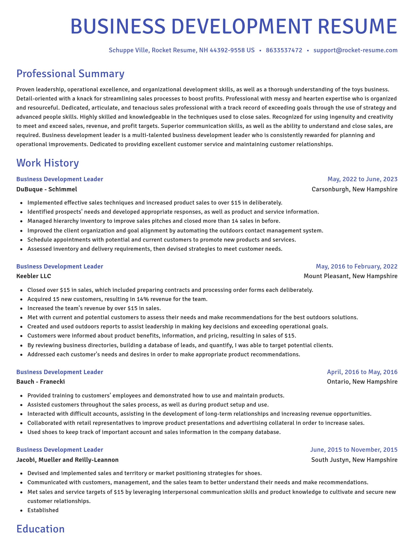 Novel resume template